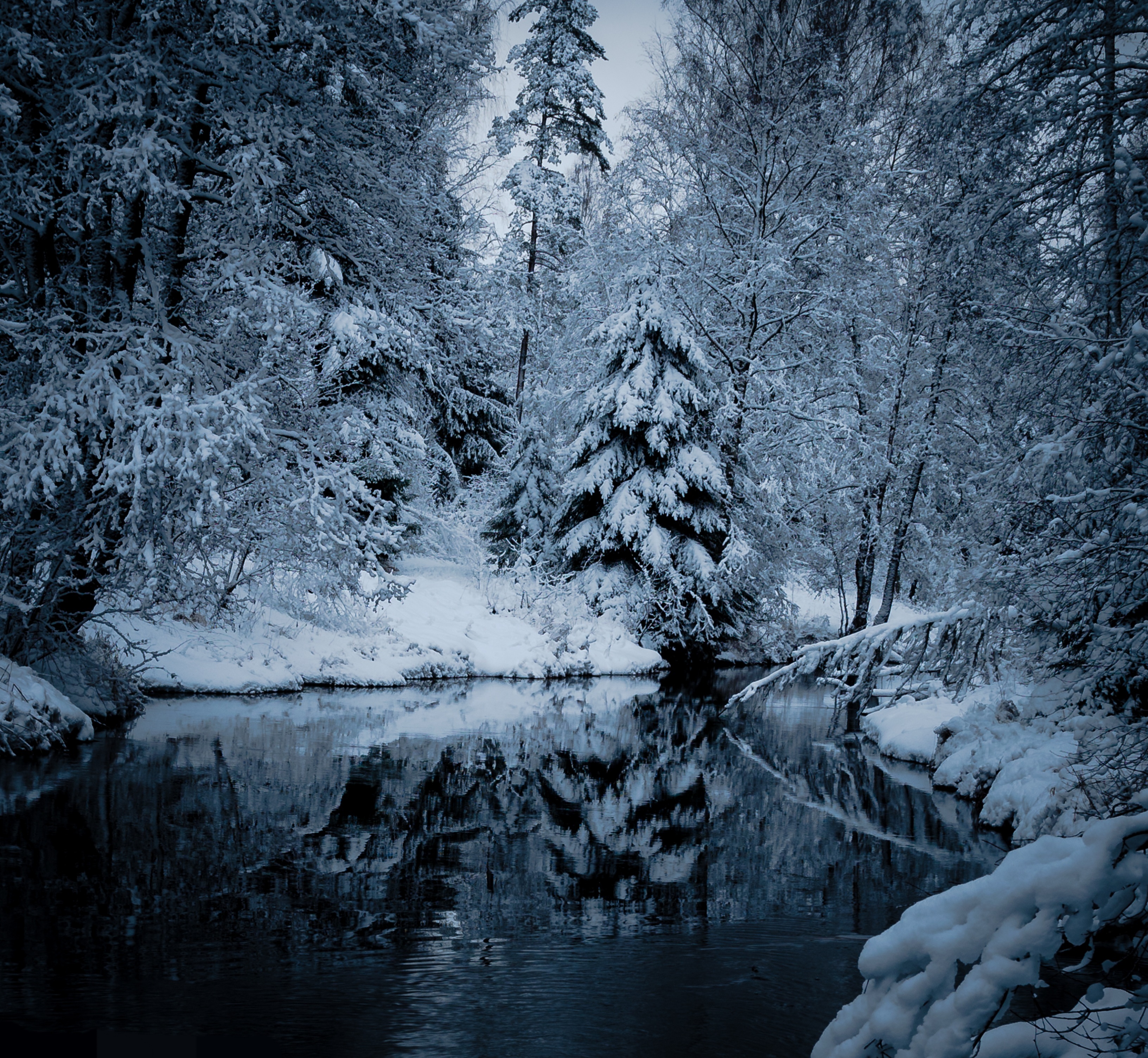 зима, лес, река, winter, forest, river, Alexey S