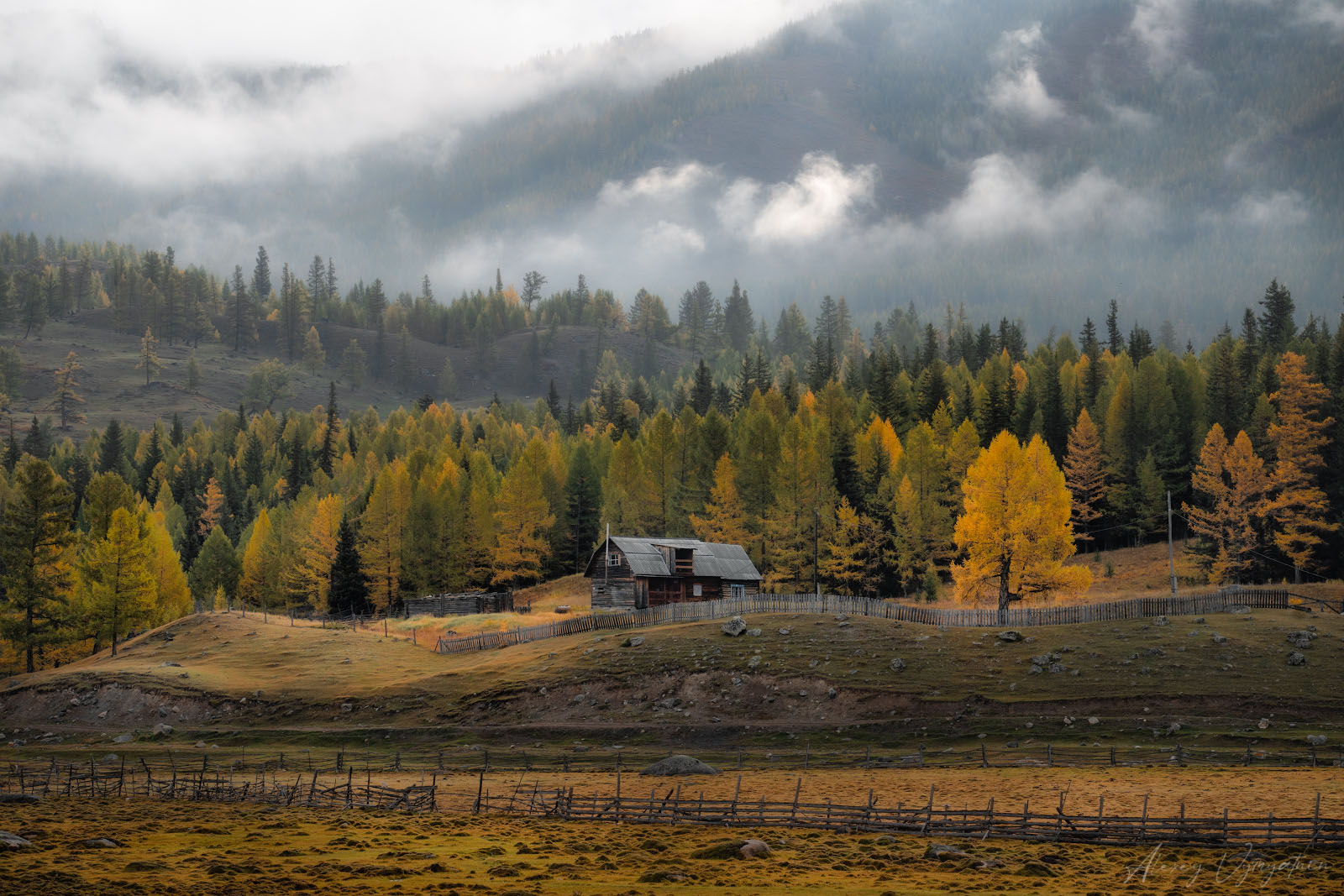 altay, autumn, house, green, yellow, landscape,, Алексей Вымятнин
