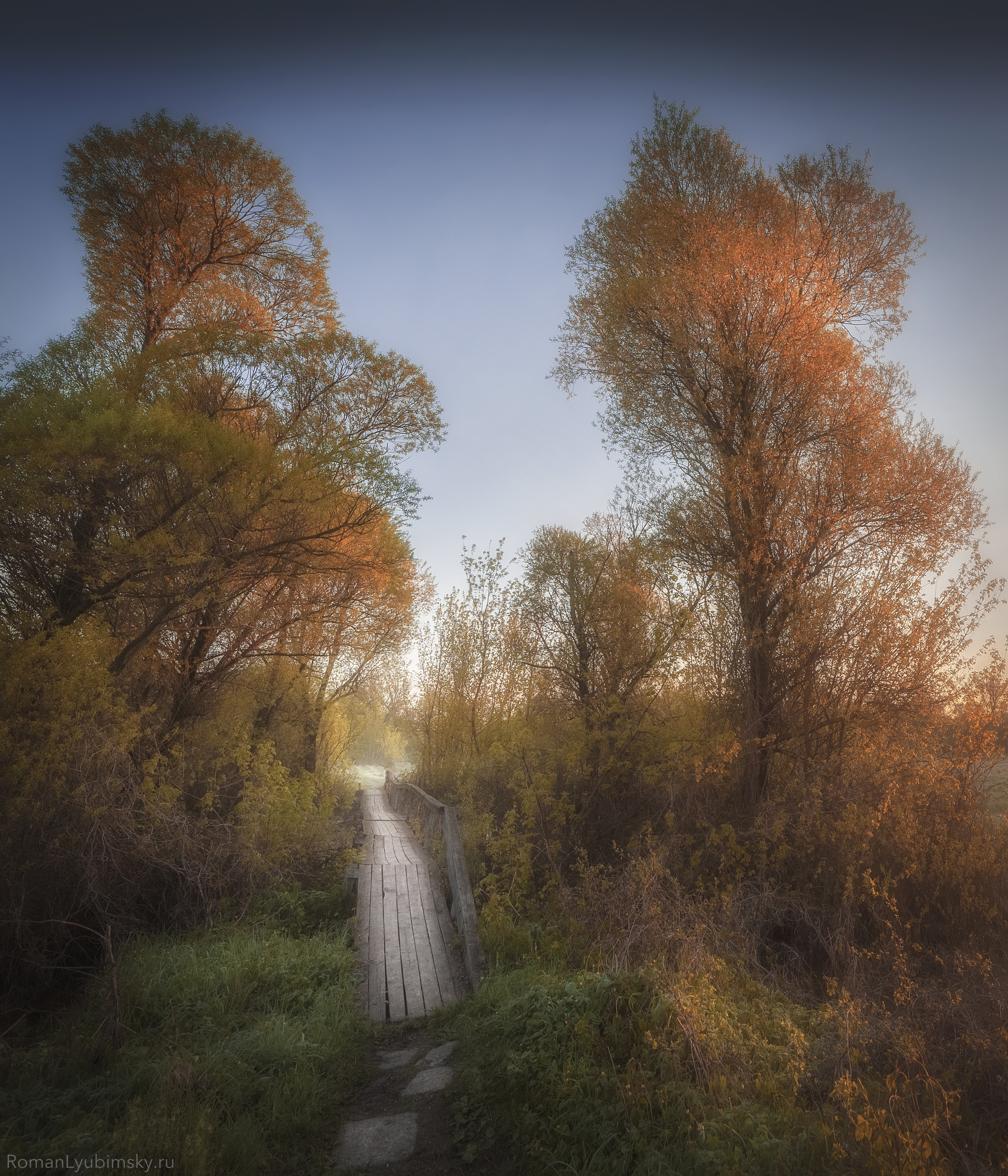 осень, пейзаж, воронеж, мост, утро, рассвет, природа, Roman Lyubimski