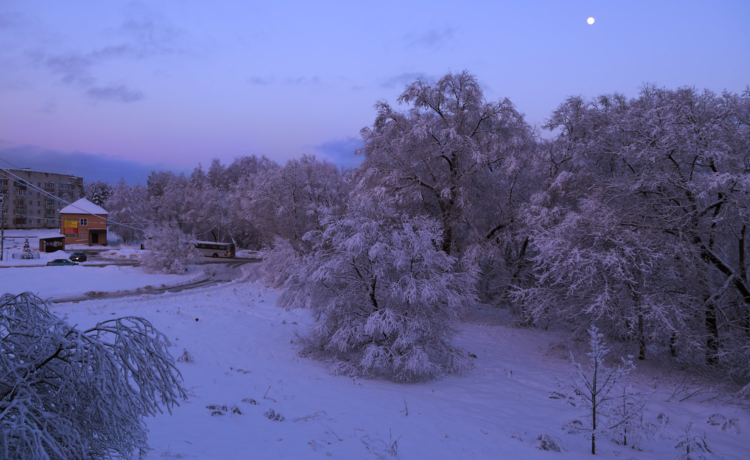 зима, декабрь, вечер, снег, деревья, Борис Новиков