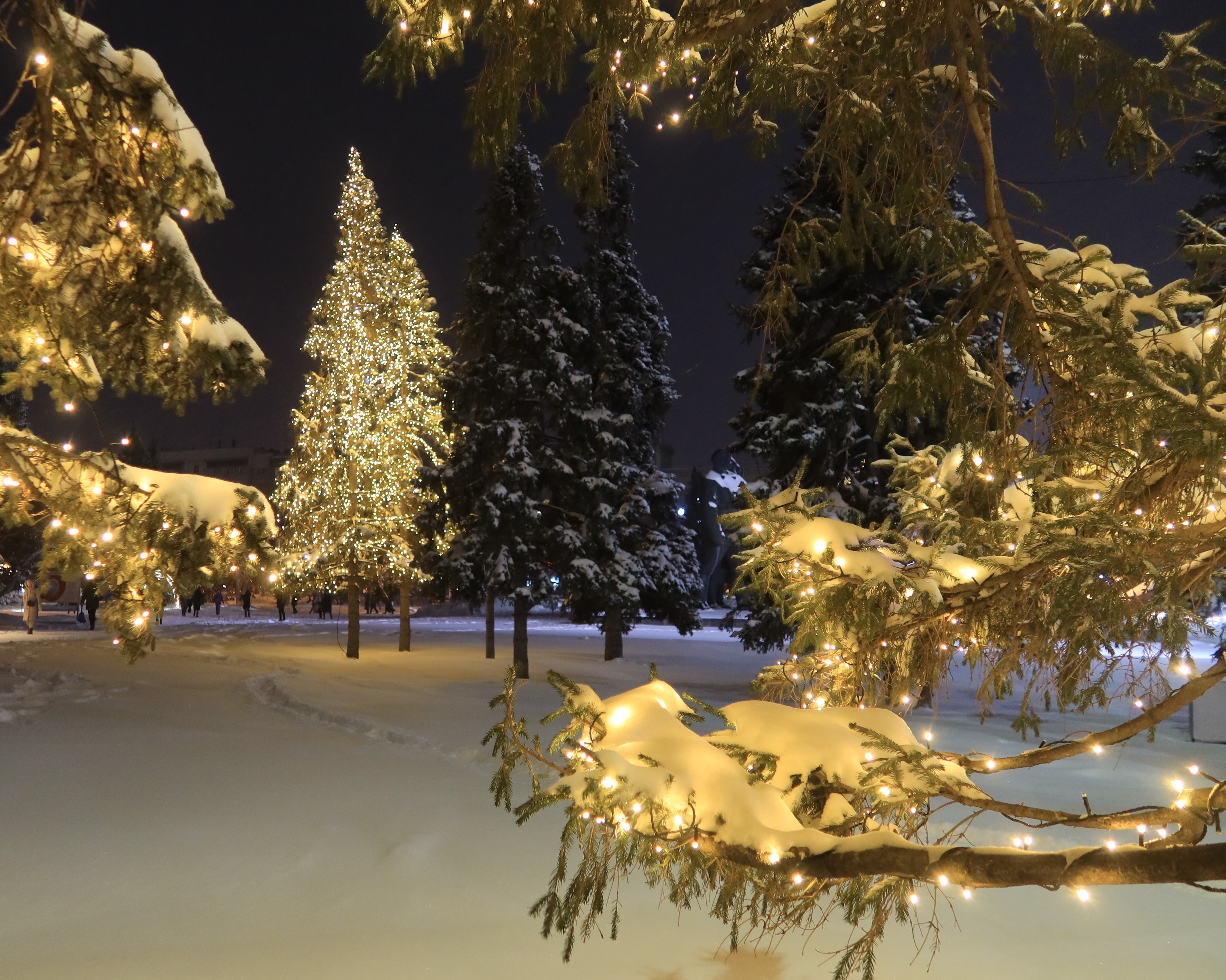 новый год,вечер,сквер,новосибирск,снег,деревья,иллюминация, Козлова Галина
