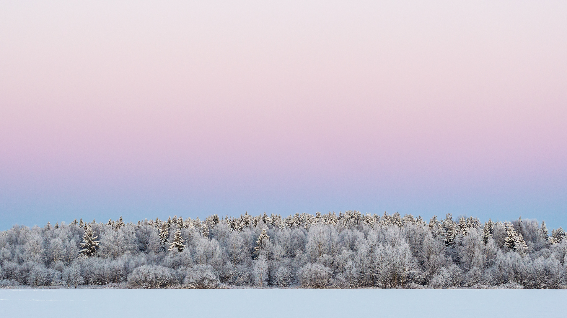 пейзаж, зима, минимализм, снег, закат, мороз, лес, Мысов Иван