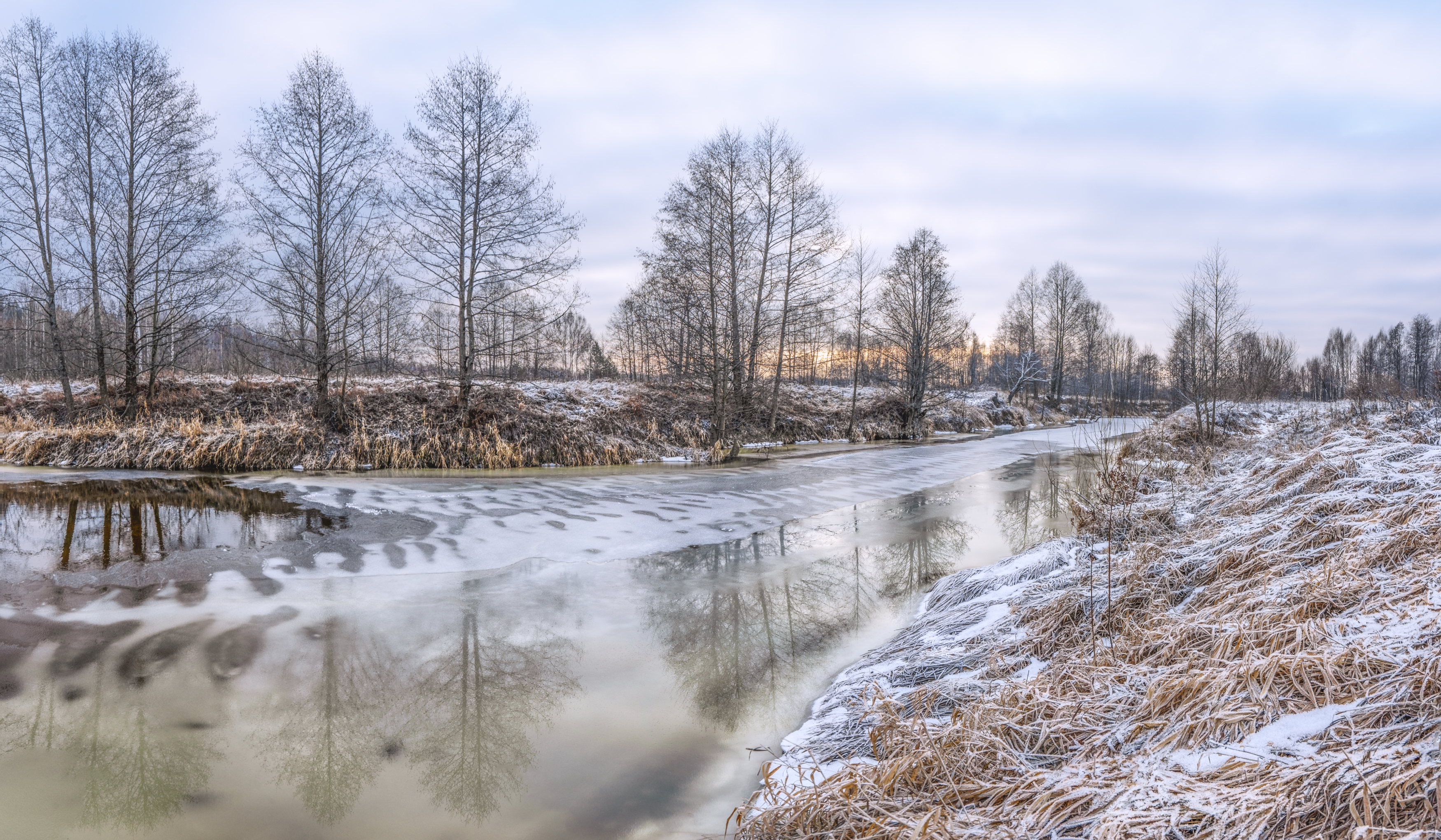 зима, река, деревья, Колесов Андрей