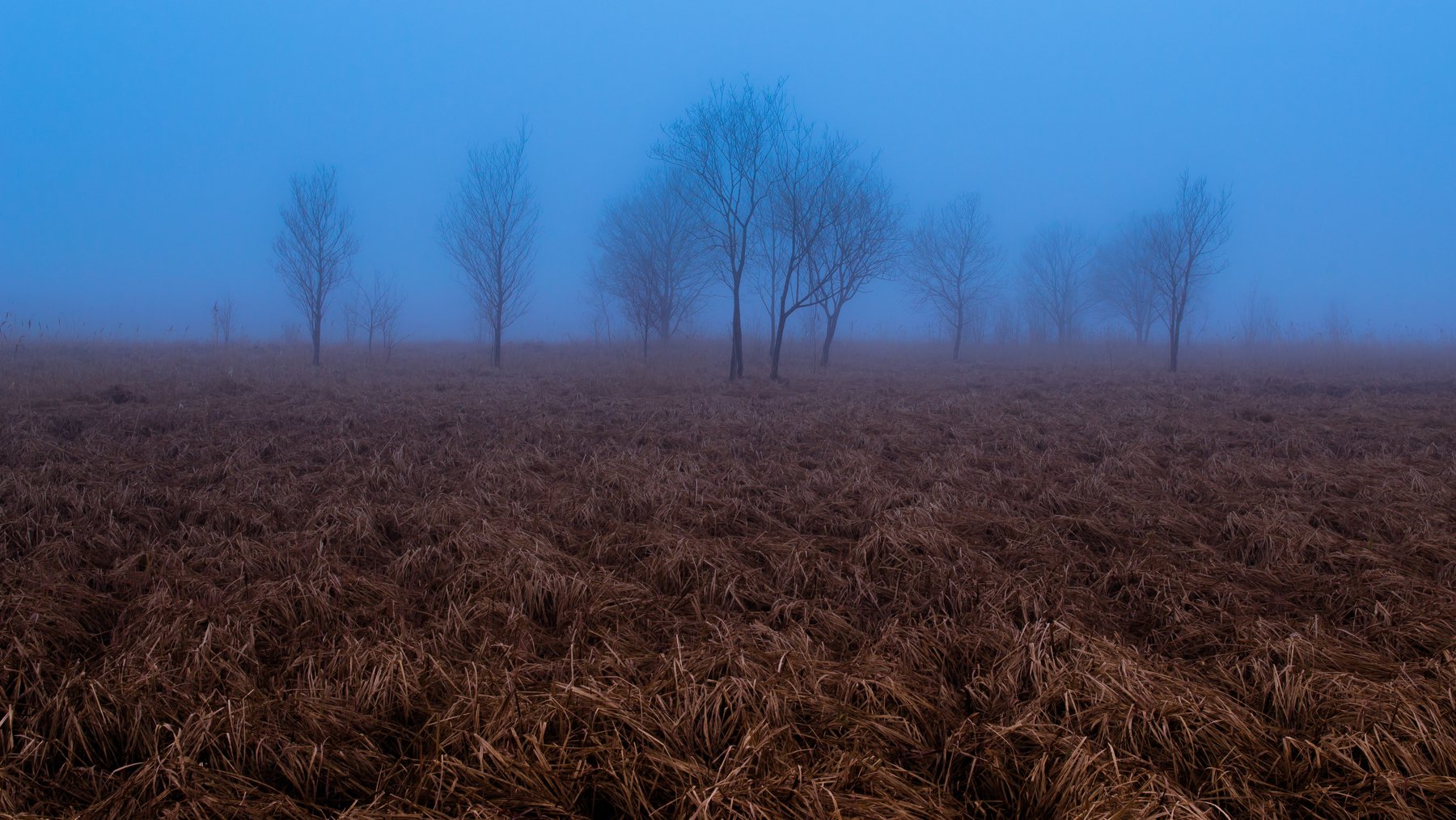 , Виталий Курин