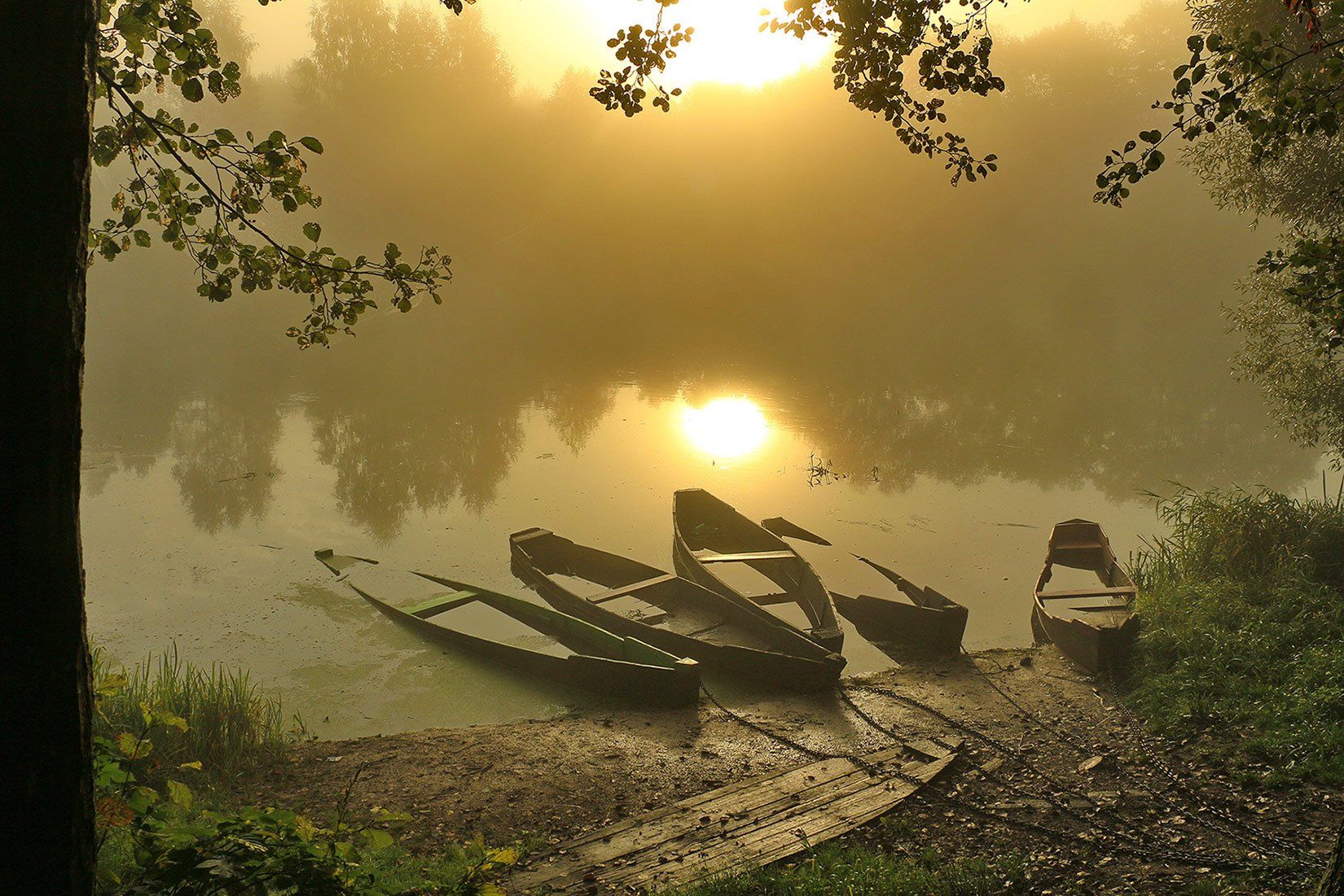 утро,туман, солнце, лодки, Валерий Козуб