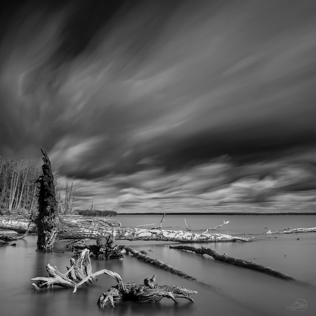 Black and white, Clouds, Landscape, Long exposure, Tree, Sutkus Rolandas