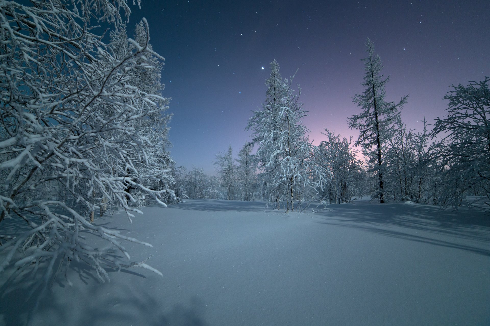 Звезды, Зима, Ночь, Ямал, Pavel  Evgrafov