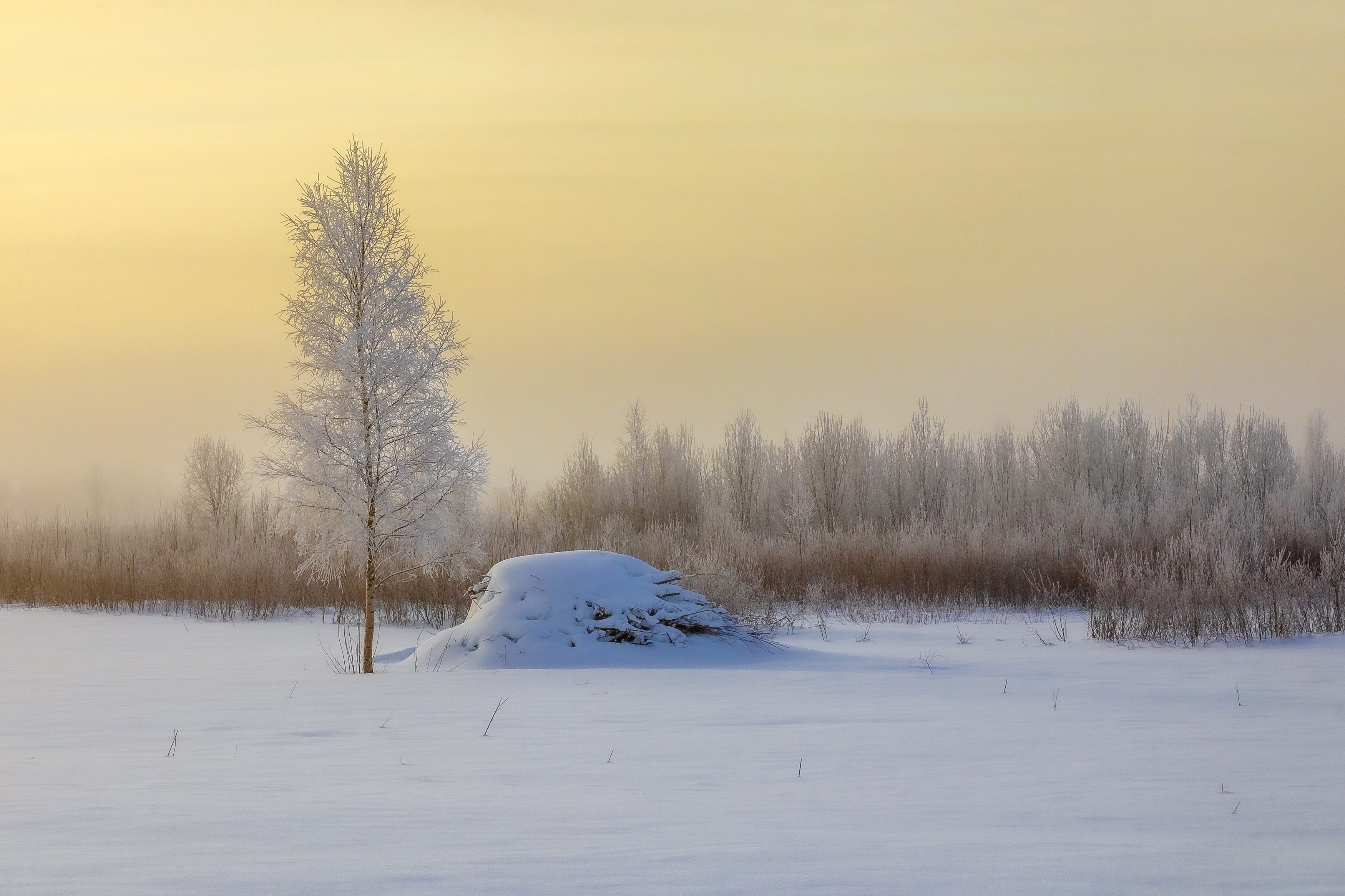 пейзаж, зима, природа, день, Игнатьев Александр