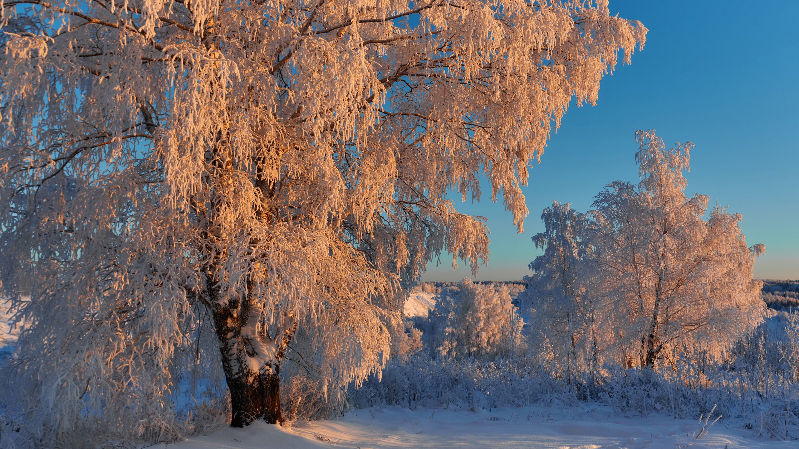 зимний пейзаж, Лисаускас Илья