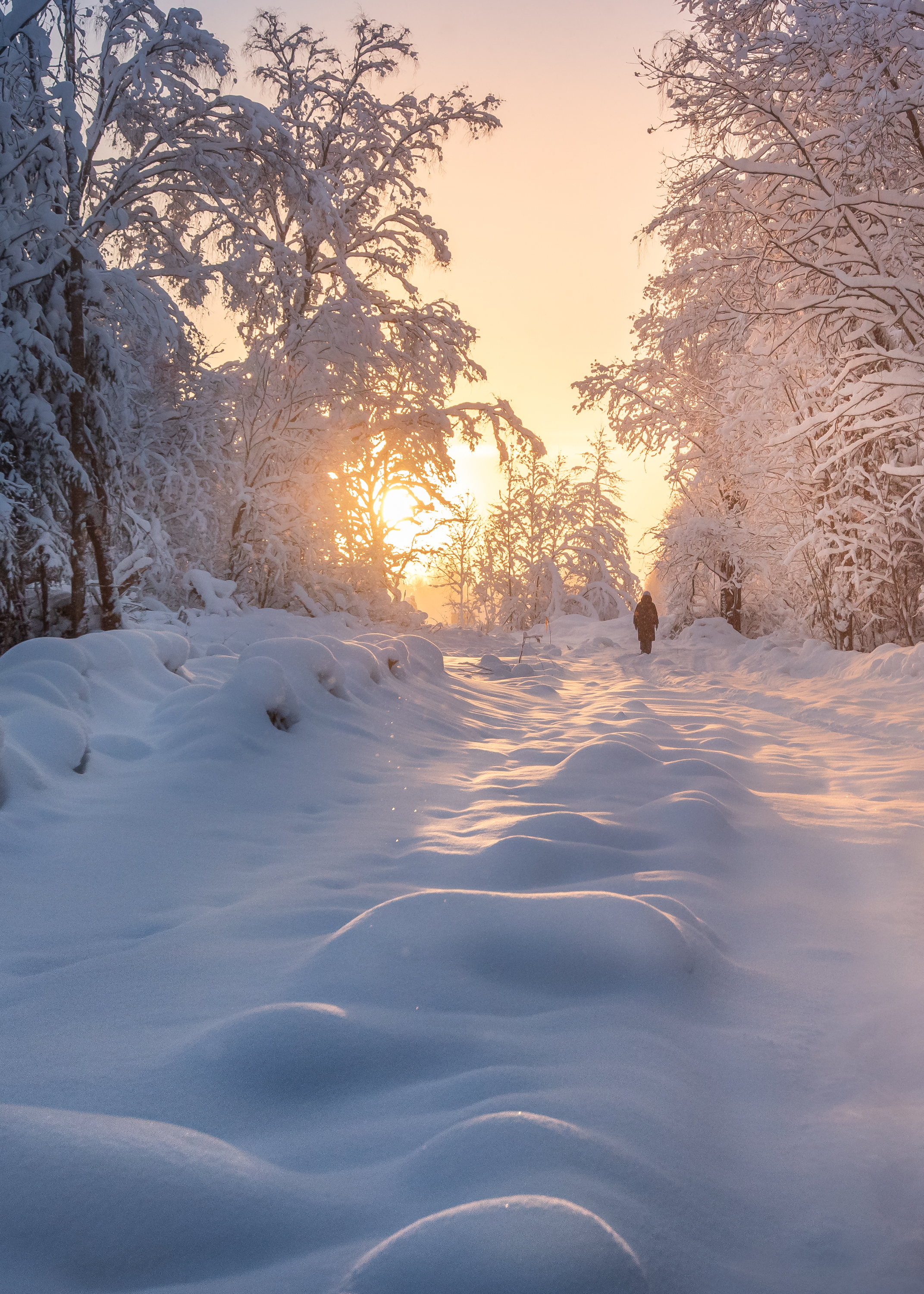 зима, мороз, снег, закат, лес, Khlebnikova Ekaterina