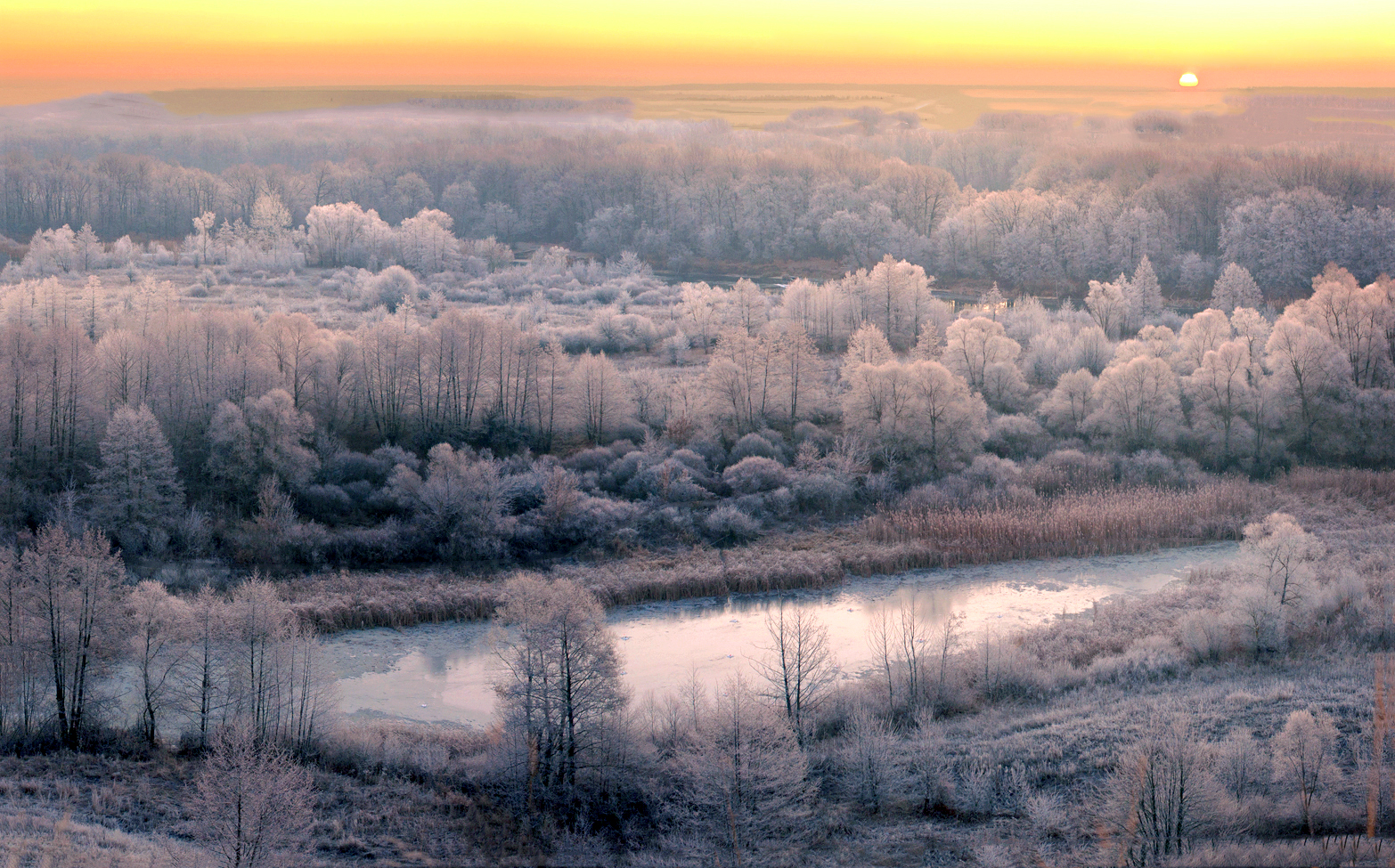 рассвет, изморозь, зимнее утро, зимний пейзаж, декабрь, воронежская область, маланино, Рукин Иван