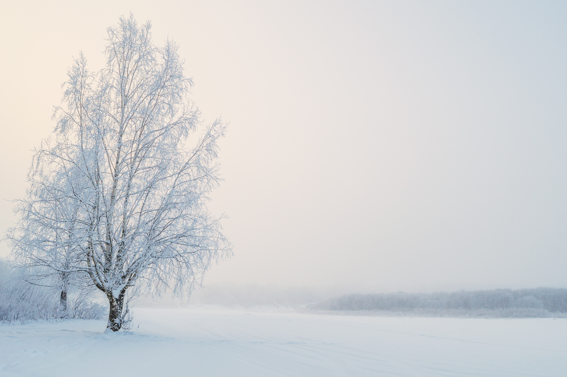 пейзаж, природа, зима, снег, мороз, Mysov Ivan