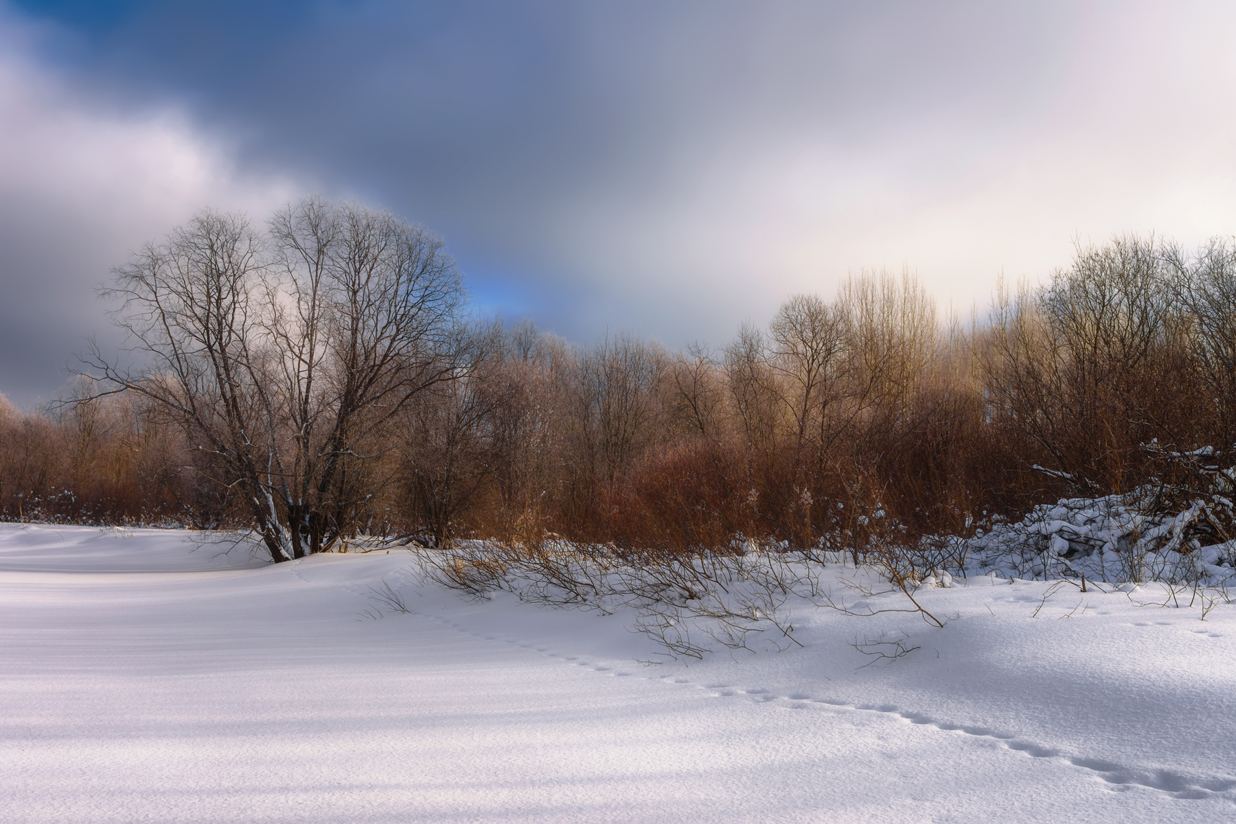 зима мороз снег сугробы деревья кусты берег, Вера Ра