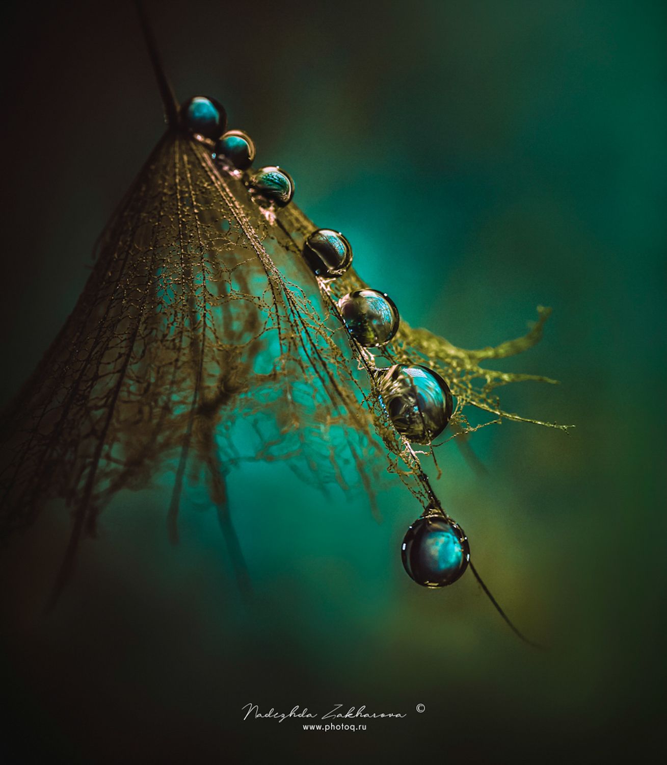 , Захарова Надежда