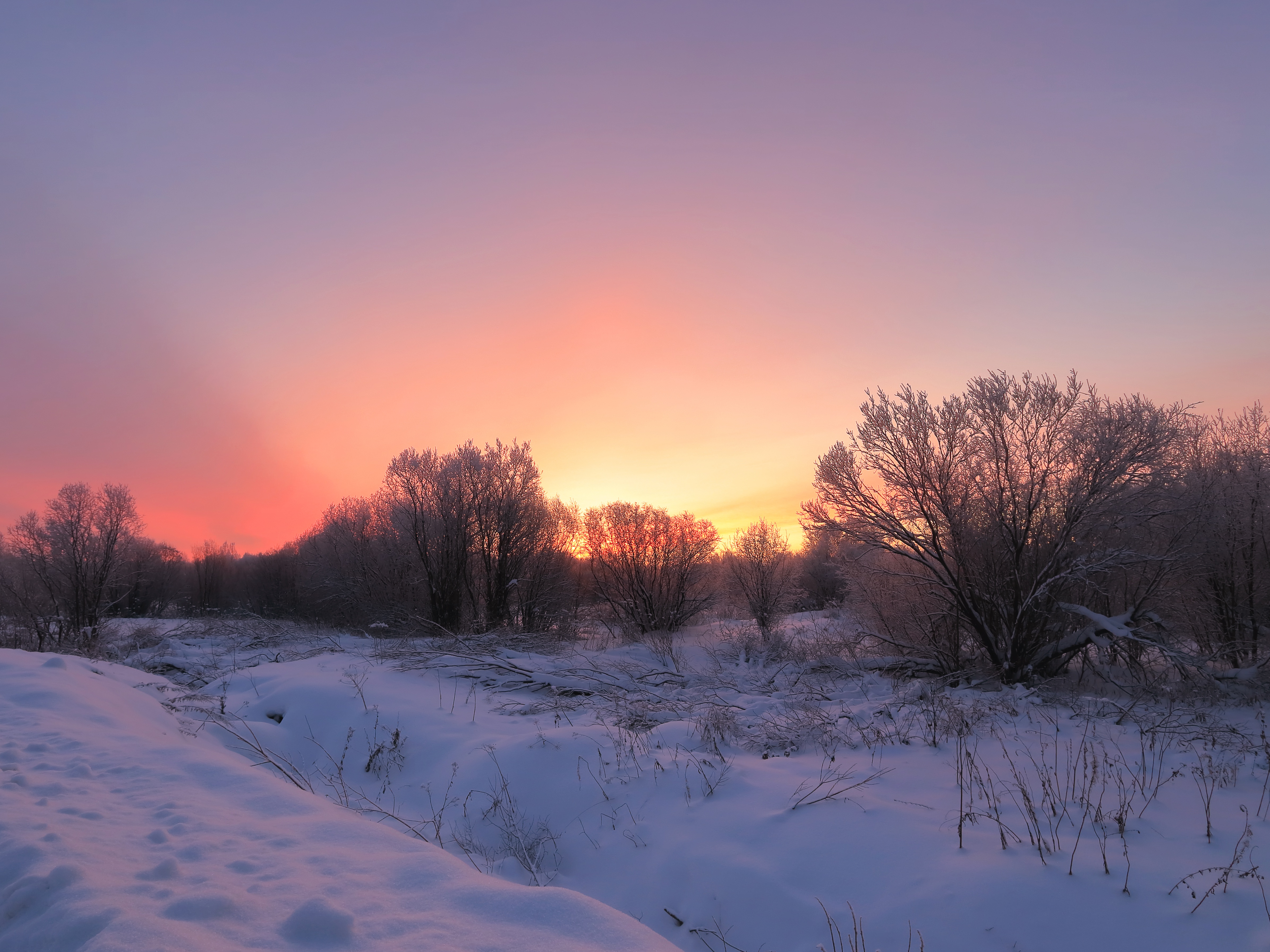утро, зима, мороз, рассвет, лес, небо, Титов Александр