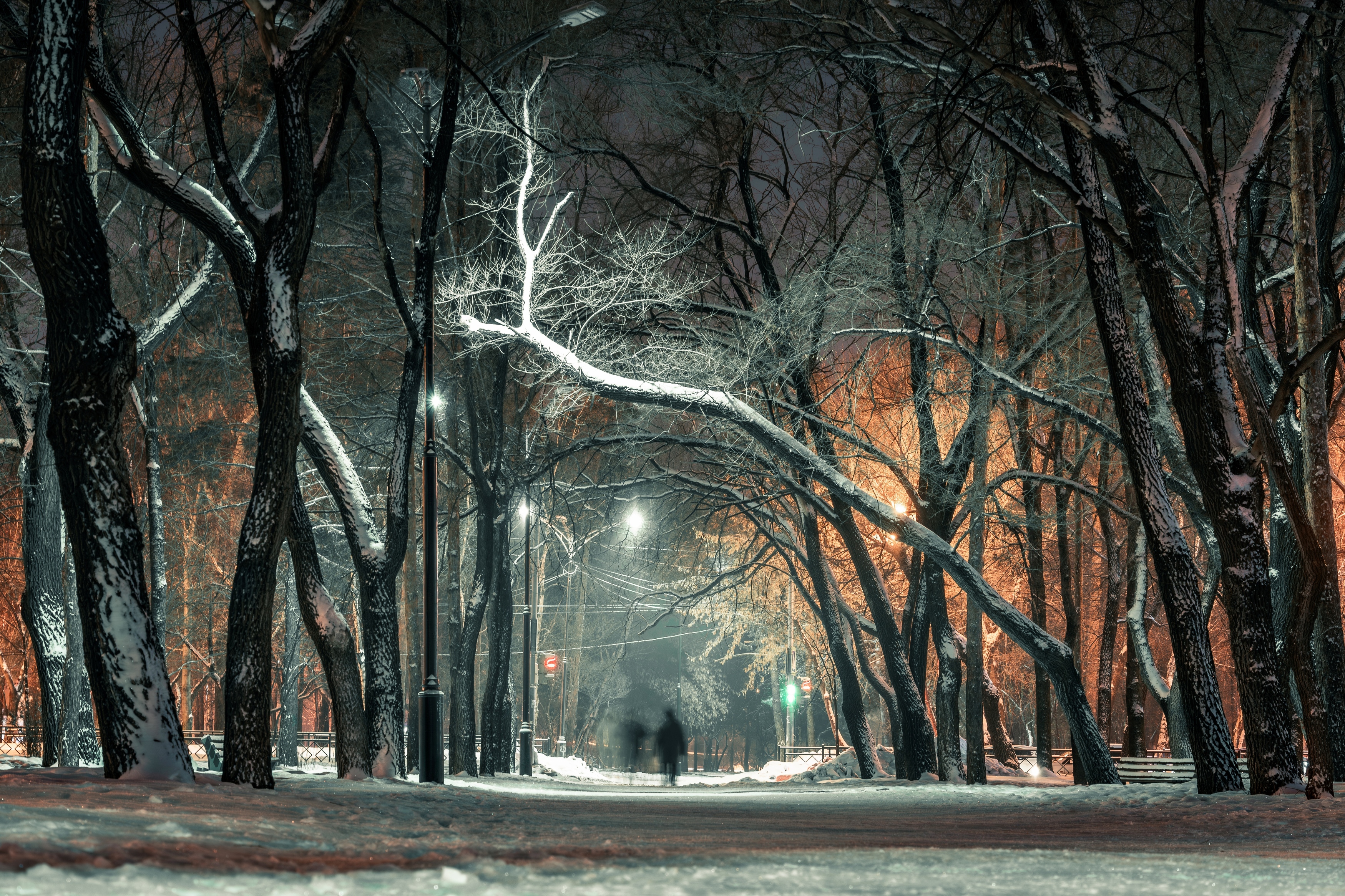 зима, парк, снег, мороз, деревья, фонари, рождество, Антон Сидоров