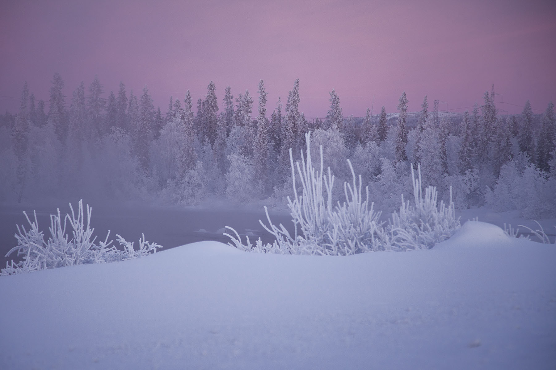 пейзаж, север, зима, красота, природа, landscape, winter, beautiful, north, nature, Стукалова Юлия