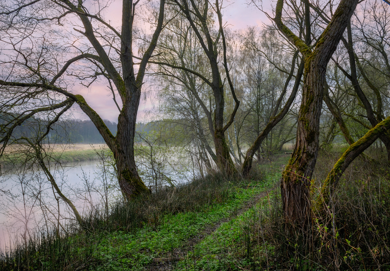 утро, весна, река, туман,, Сергей Шабуневич
