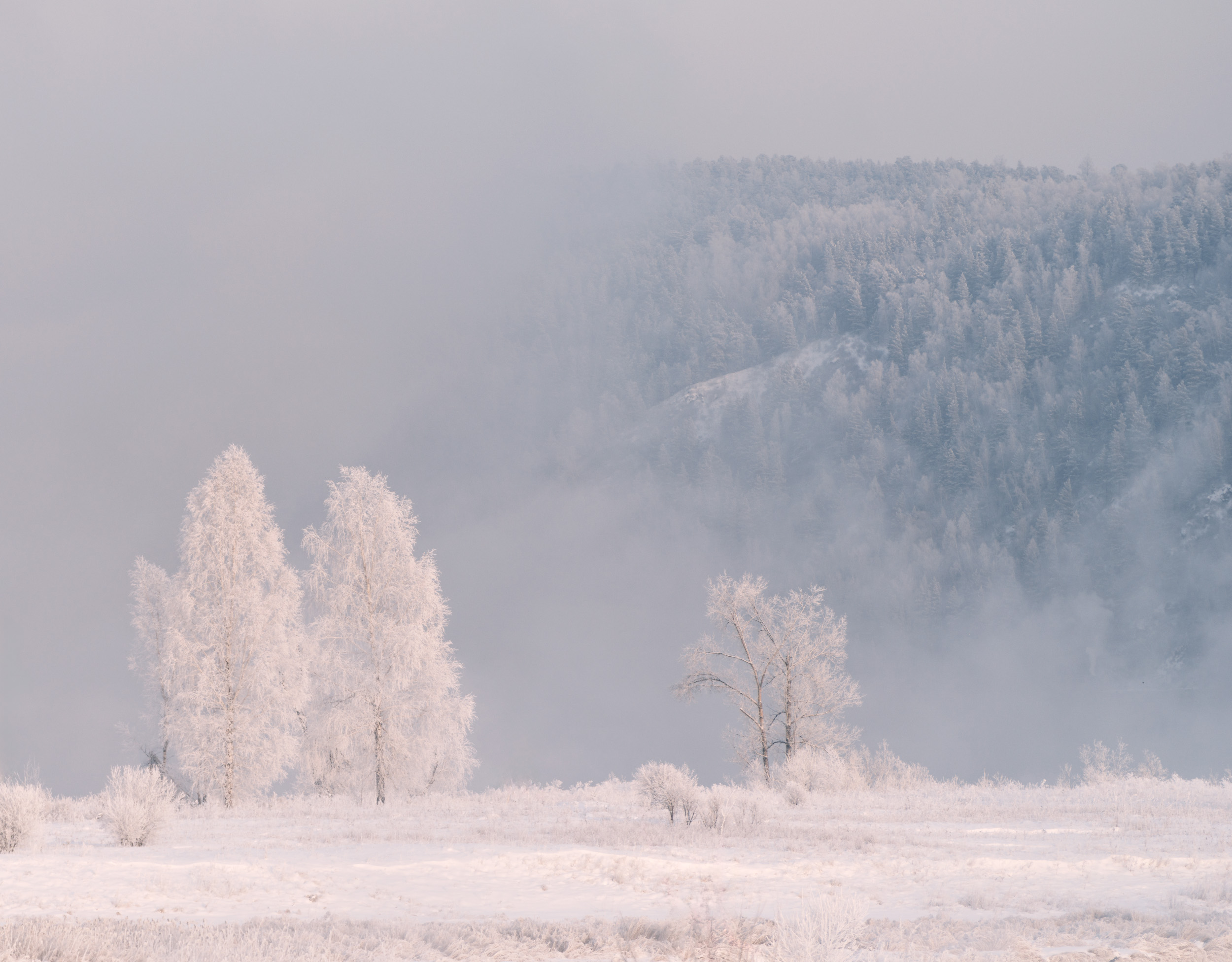 зима, снег, мороз, иней, горы, туман., Леонтьев Константин