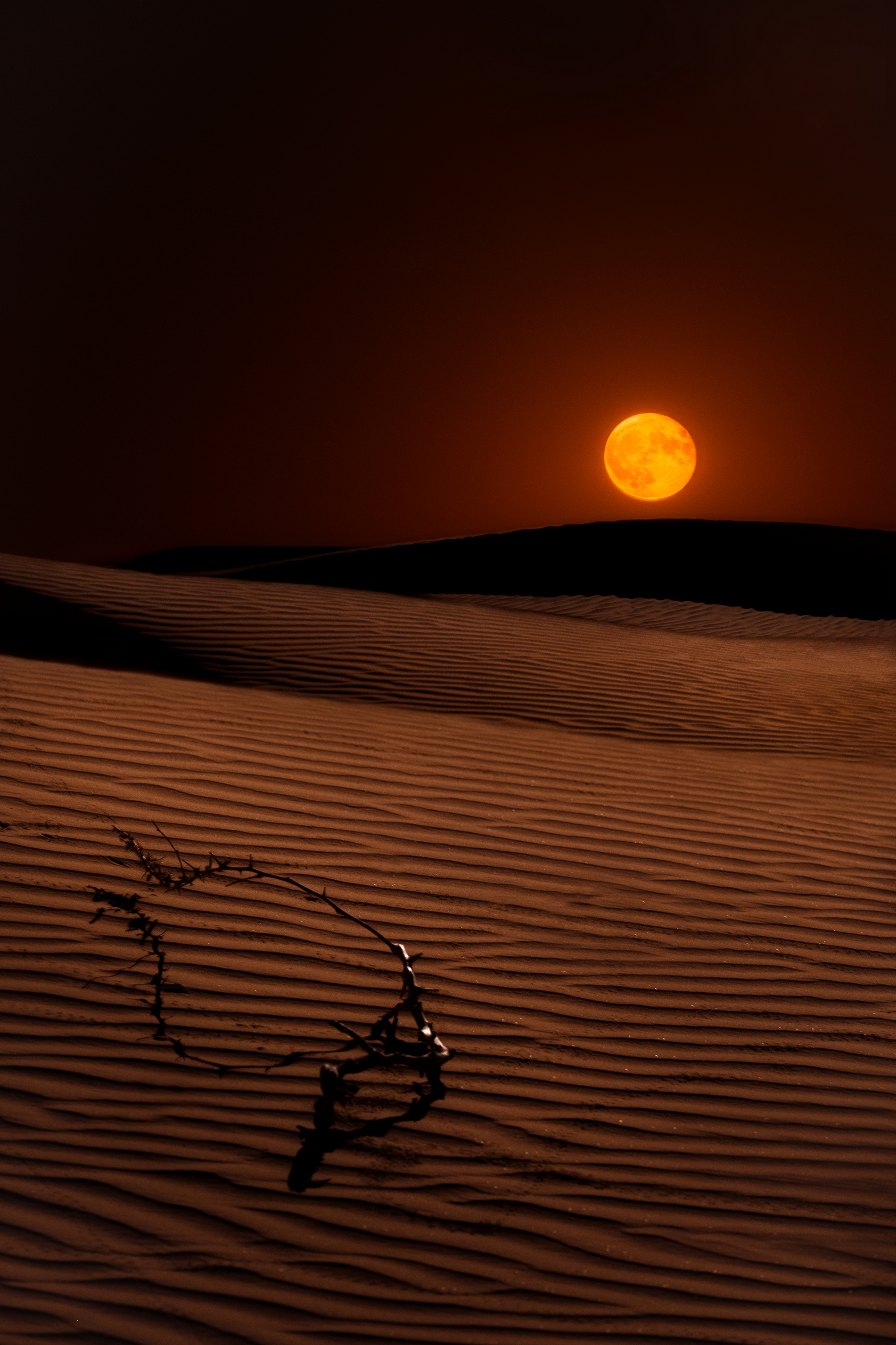ночная фотография, луна, пейзаж, астрахань, песок. пустыня, Влад Рябинин