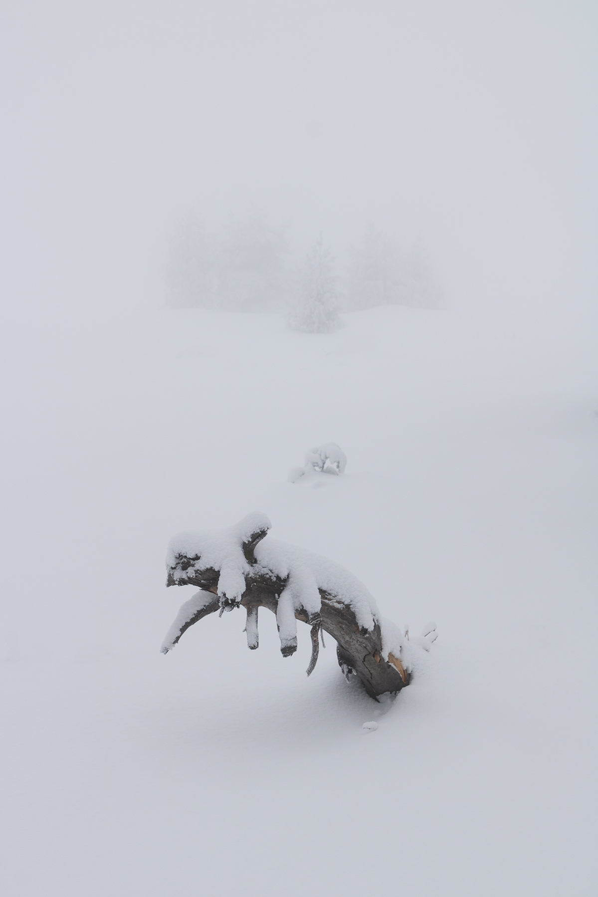 winter, snow, mountain, fog, white, minimalistic, tree, Vania Tonova