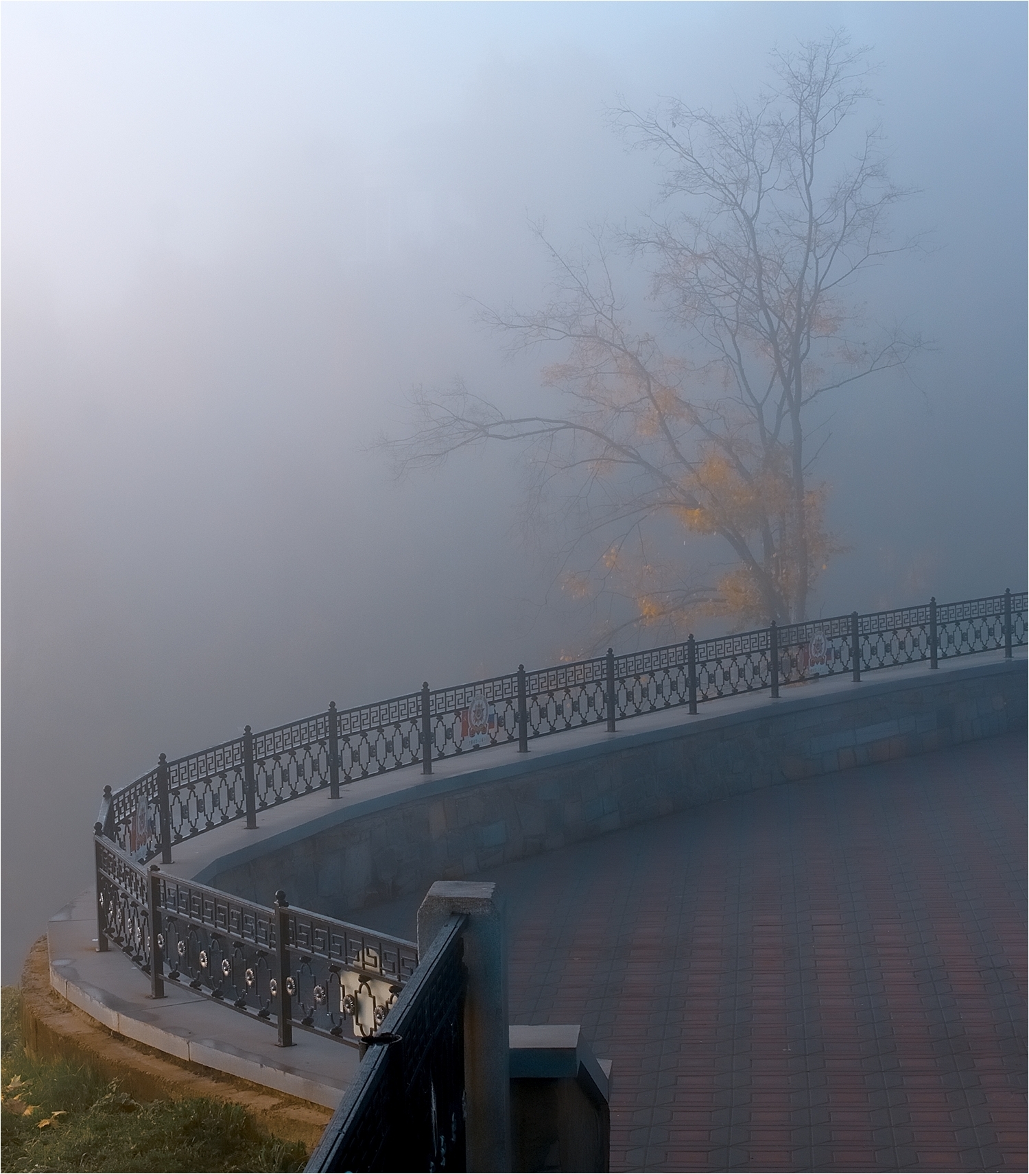 парк, осень, клёны, александровские, геометрия, утро, площадка, туман, Петров Игорь