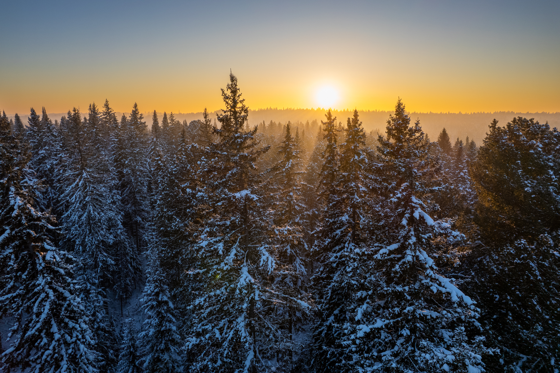 sunset, winter, trees, Maria Pochikaeva