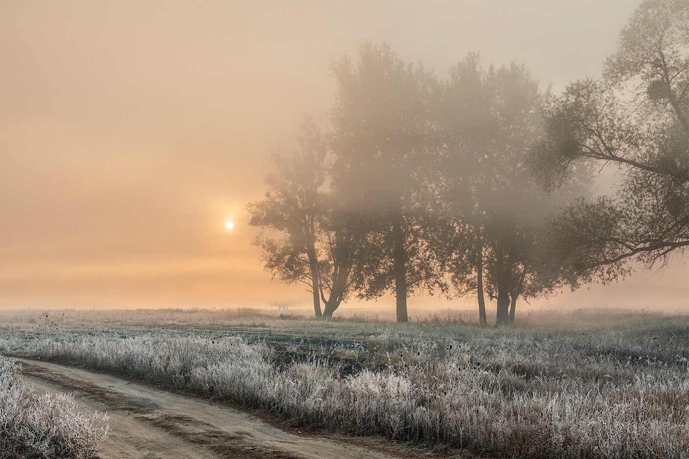 , Владимир Костылев