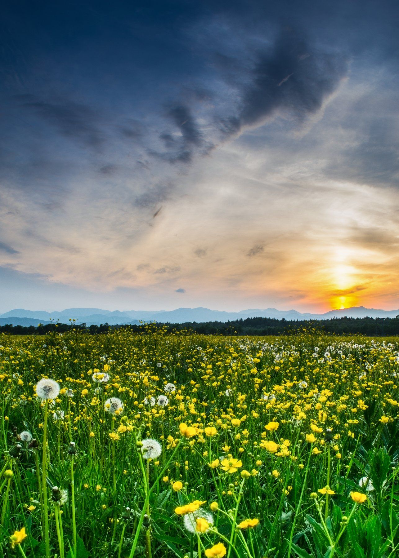 небо, Виталий Курин