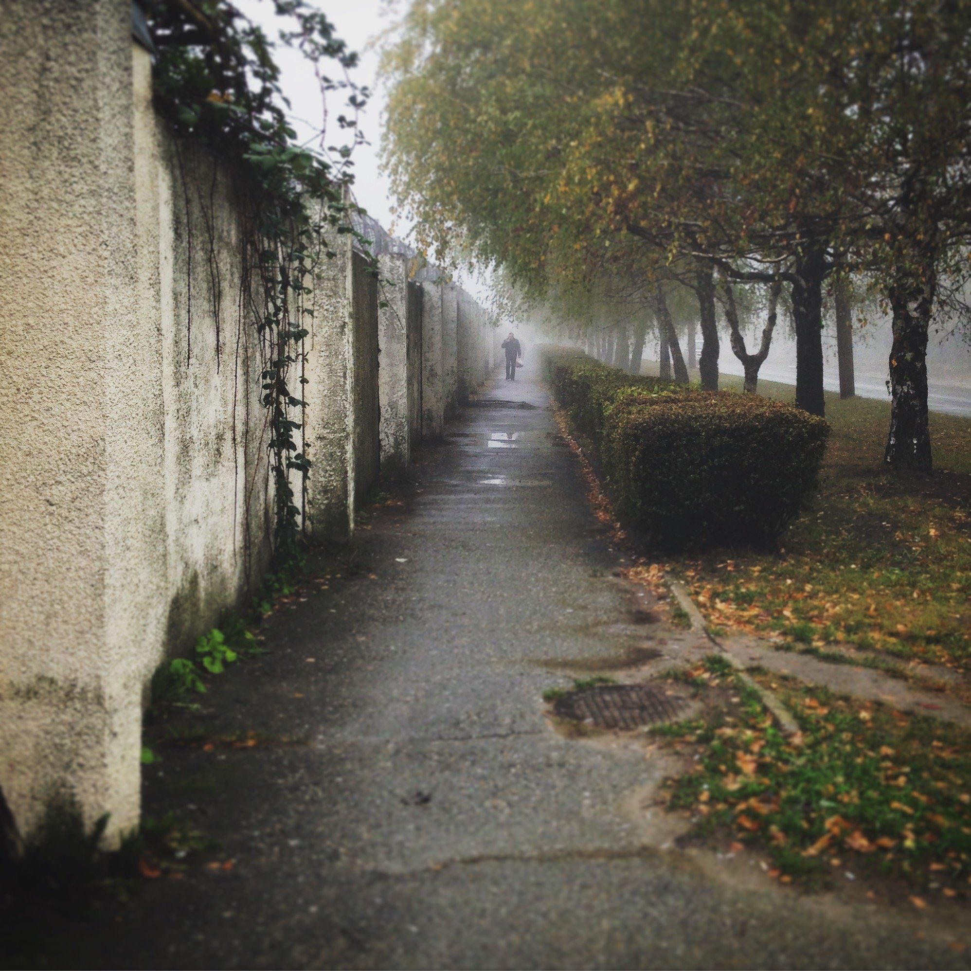 autumn, cold, color, landscape, light, man, mist, people, Андрей Лободин