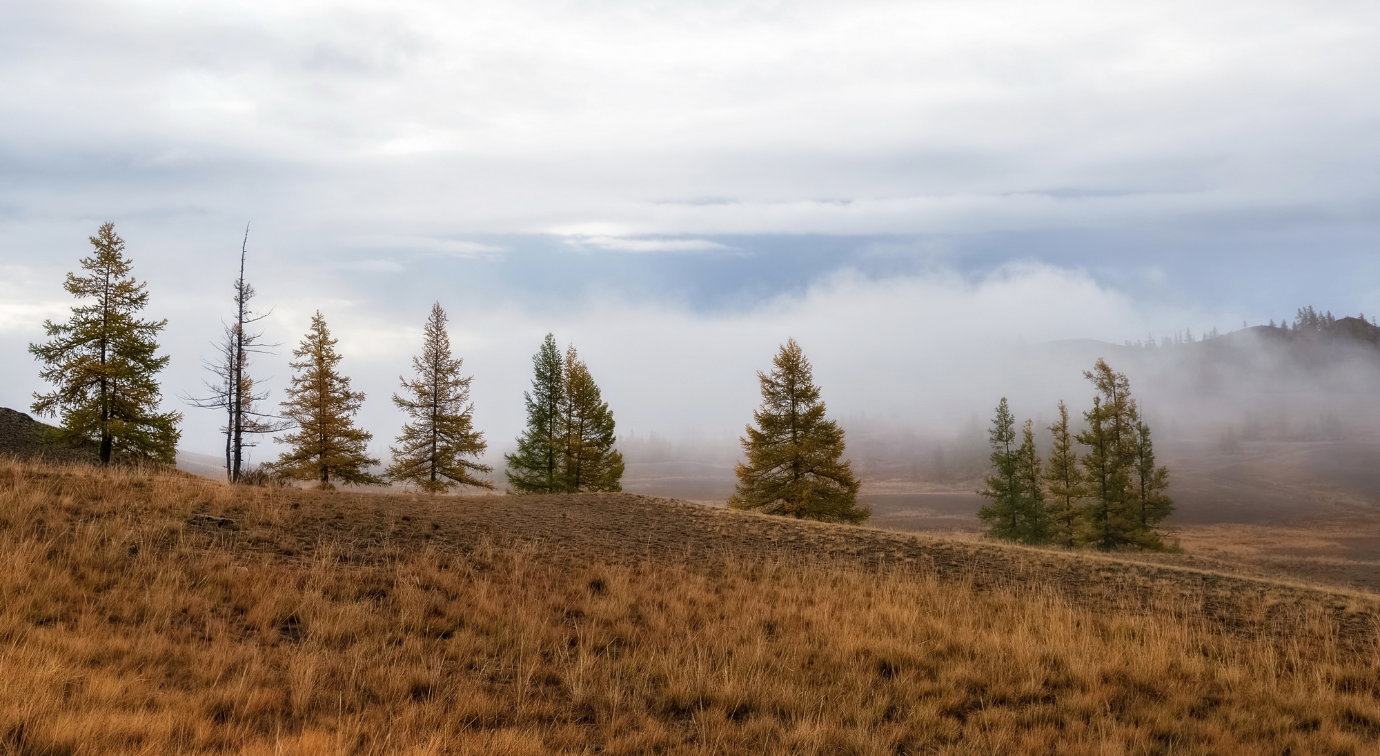 северо-чуйский хребет, туман, алтай, осень., Фомина Марина