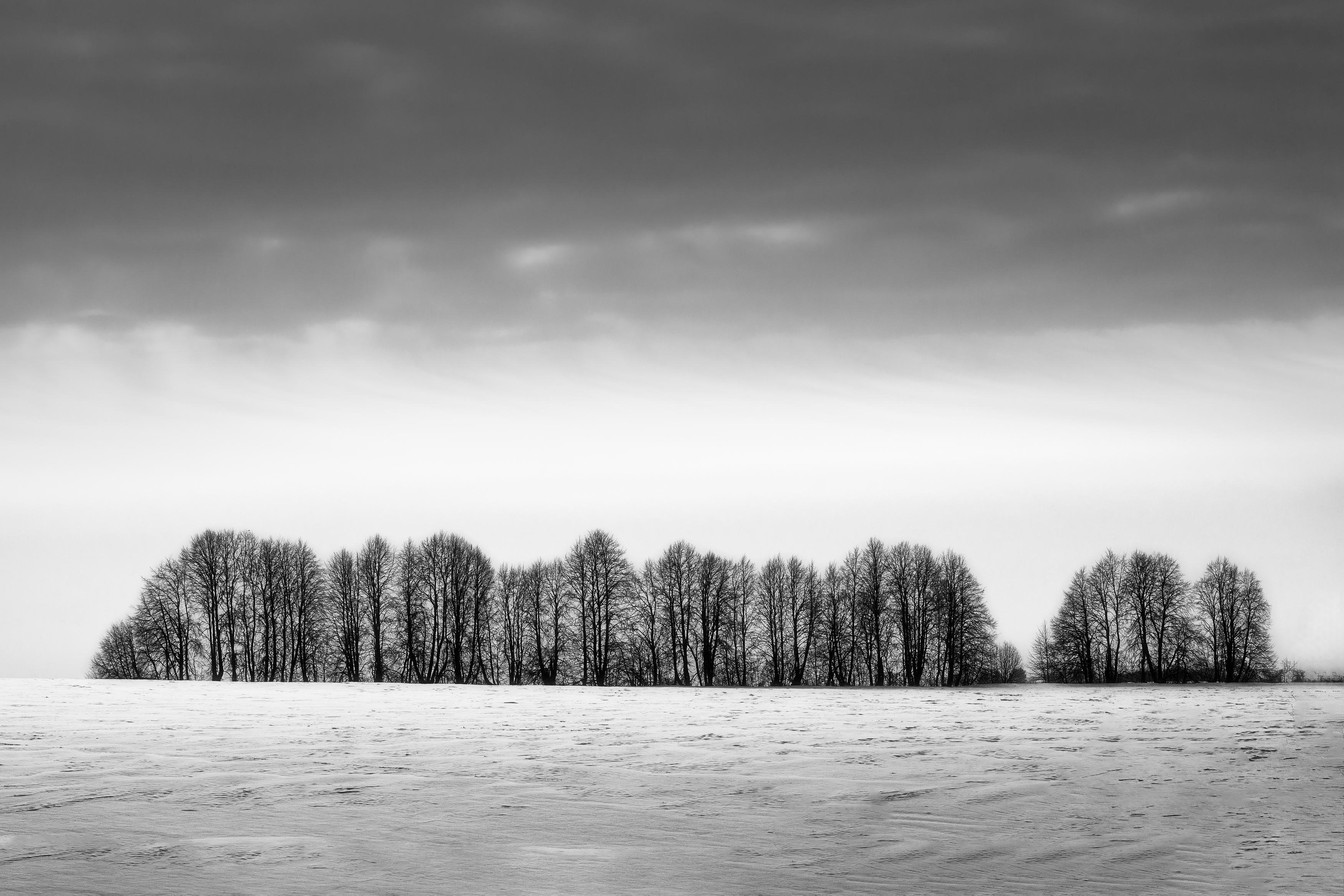 природа, пейзаж, черно белая фотография, зима, деревья, Мартыненко Дмитрий