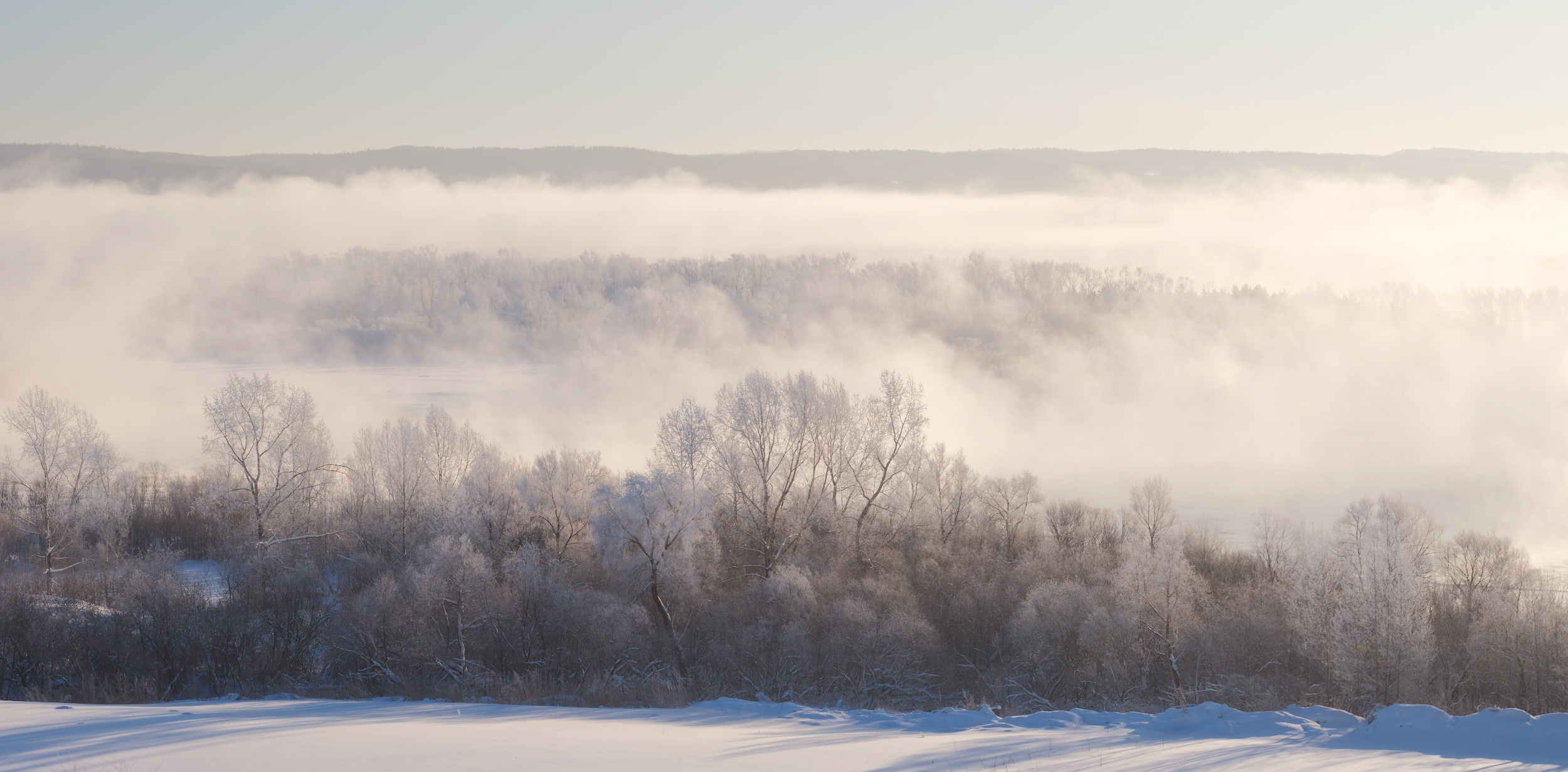 зима, мороз, туман, снег, деревья, Леонтьев Константин