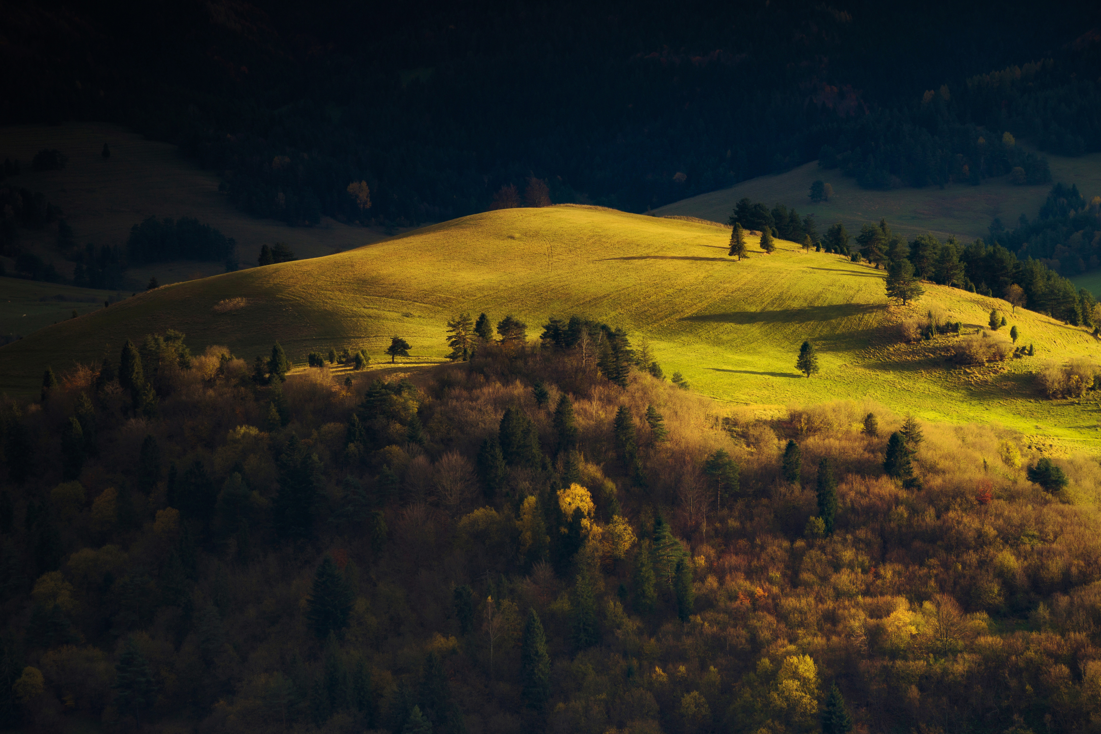 Horizontal, Mountain, Nature, Tree, Day, Autumn, Landscape, Forest, Moutain, Hill, nature, travel, Slovakia, Poland,Pieniny, Damian Cyfka