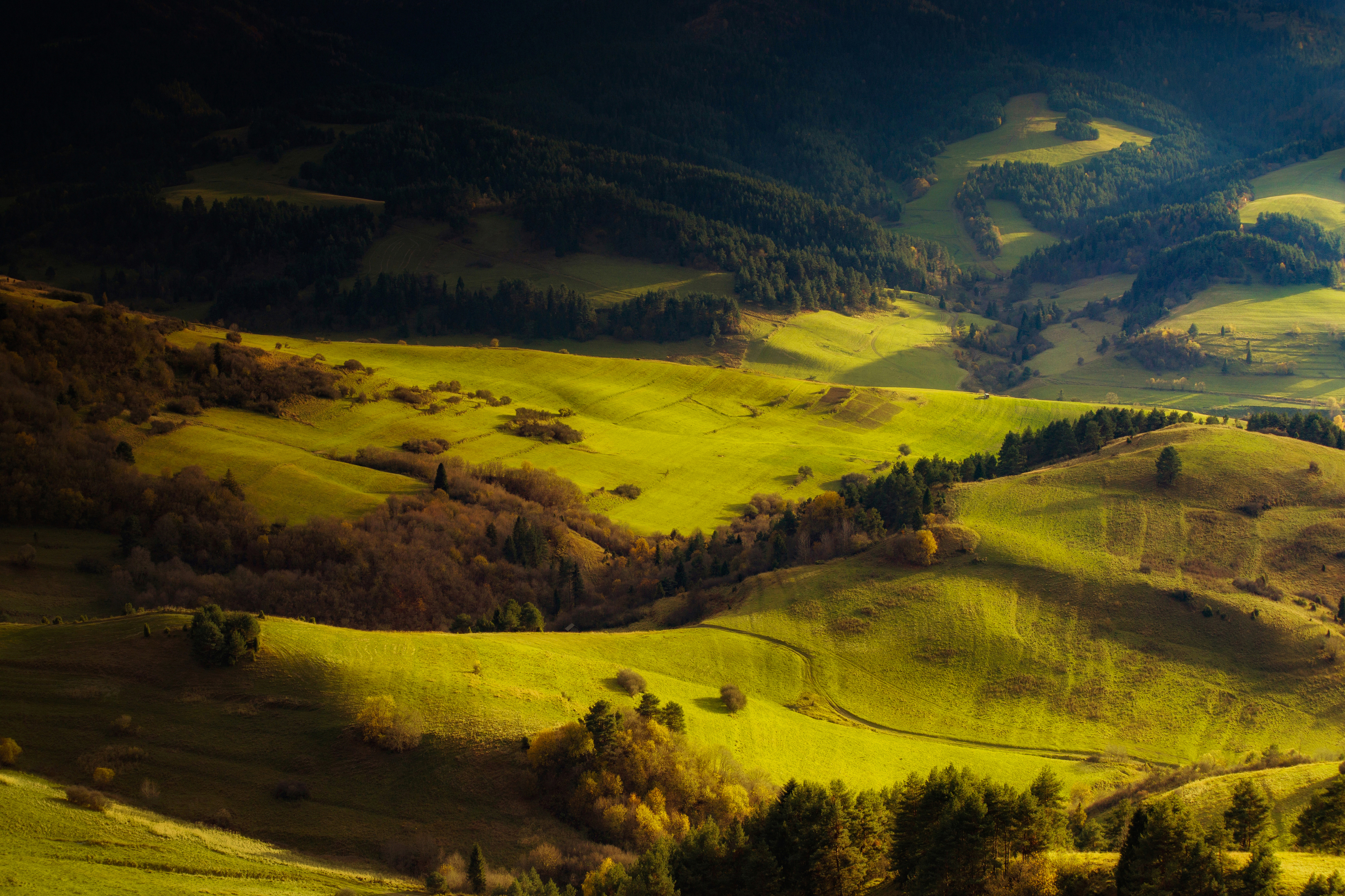 Horizontal, Agriculture, Nature, Farm, Hill, Pieniny, Landscape, Slovakia, Poland, Green, Grassland, grass, Trees, Moutains, Rural, Damian Cyfka