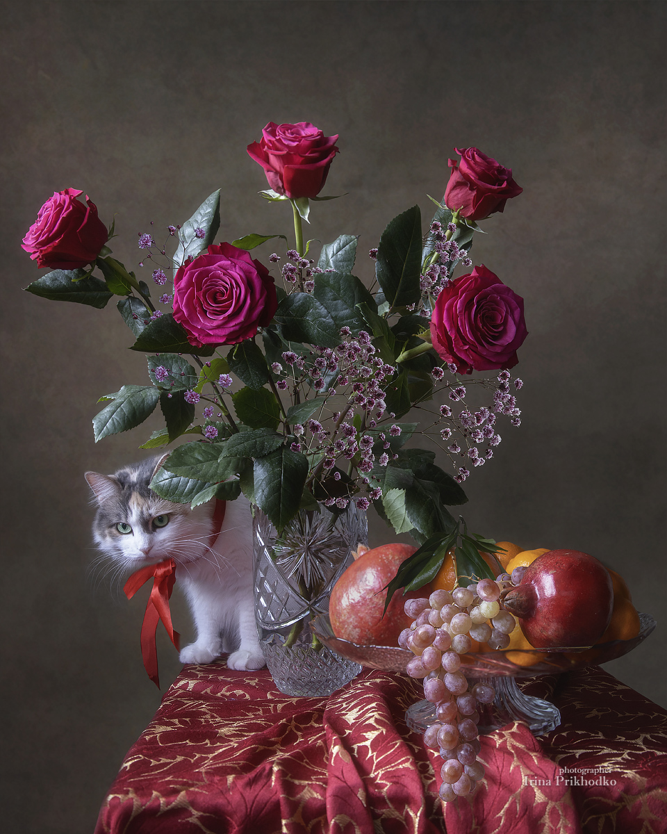 натюрморт, розы, букет, фрукты, кошка, домашние животные, Приходько Ирина