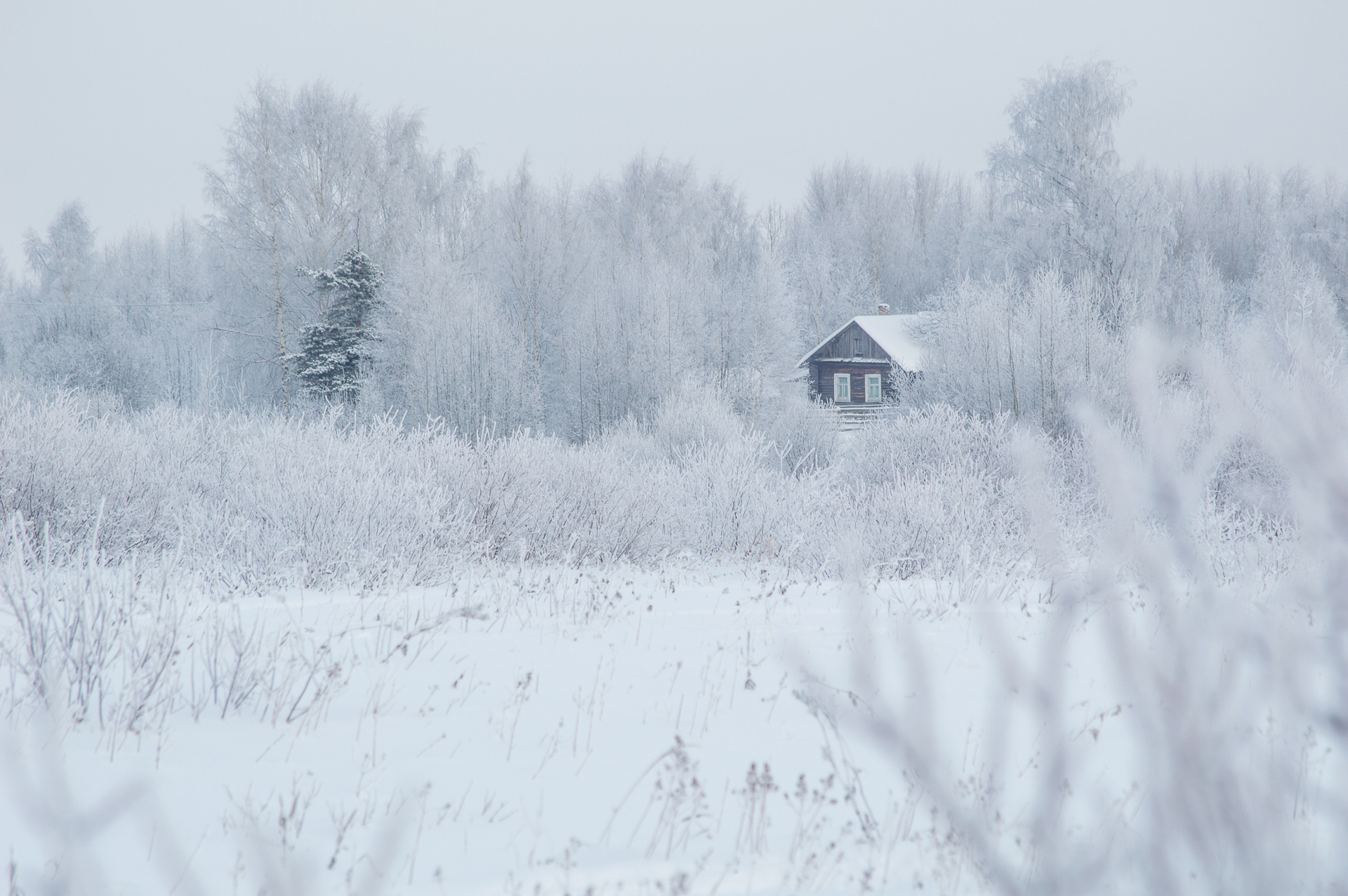пейзаж, природа, зима, снег, лес, Mysov Ivan