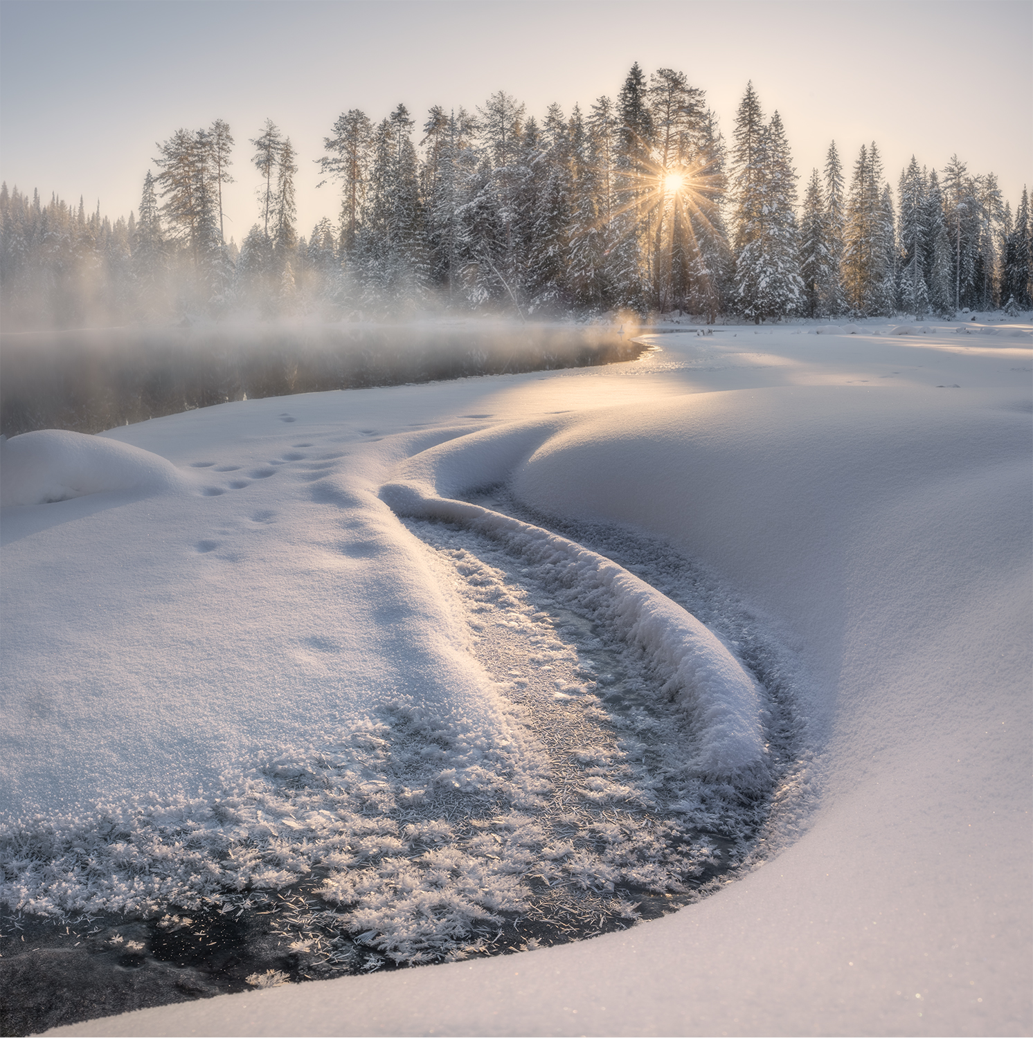 зима мороз снег солнце цветы озеро, Сергей Буторин