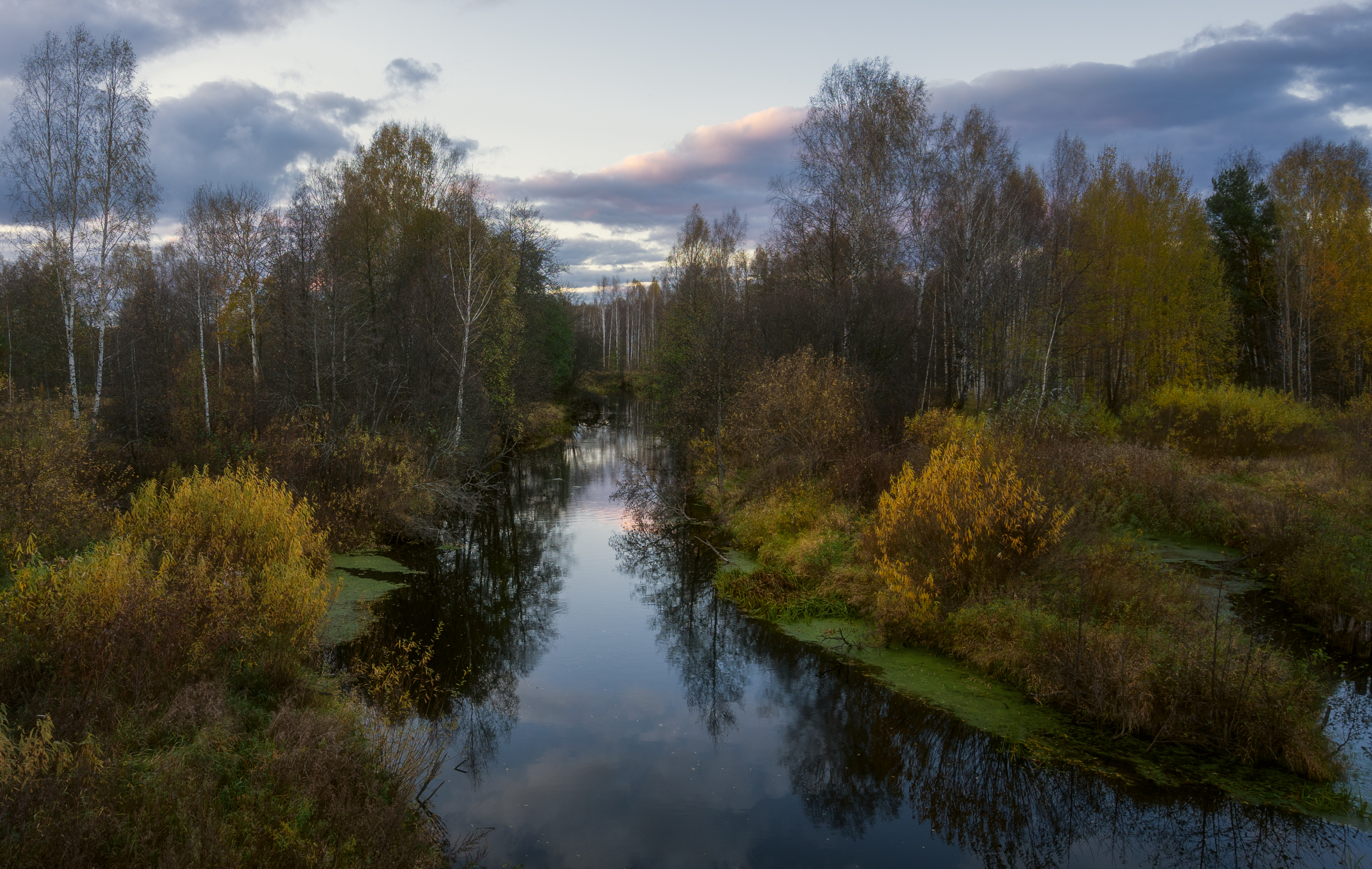 осень, река, деревья, небо, Колесов Андрей