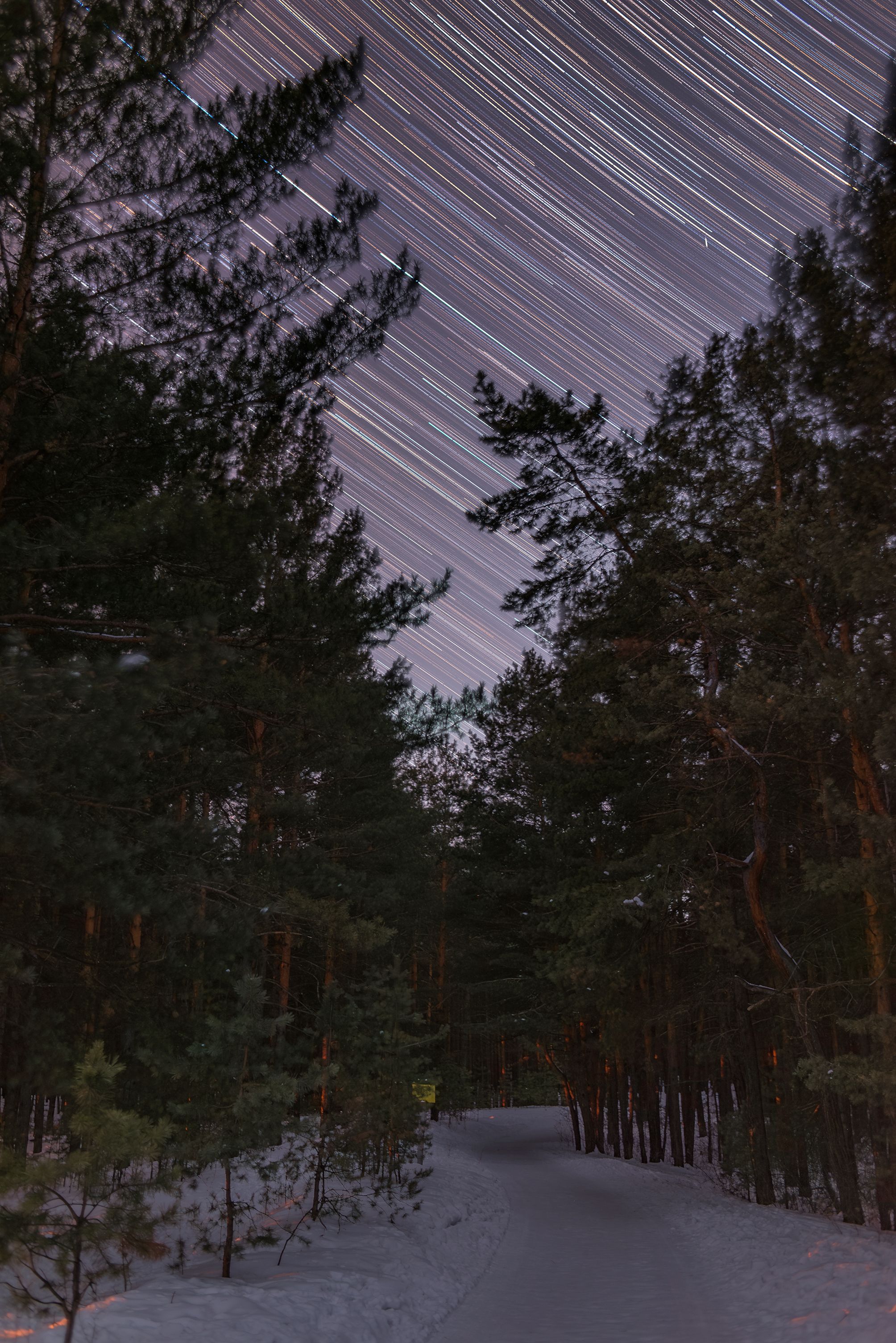 ночь, звездное небо, звездные треки, сибирь, night, starry sky, stars, siberia, Кудашкина Ксения