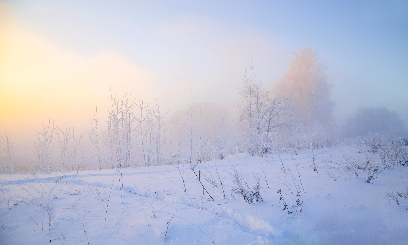 утро, зима, мороз, туман, солнце, природа, Виктор Климкин