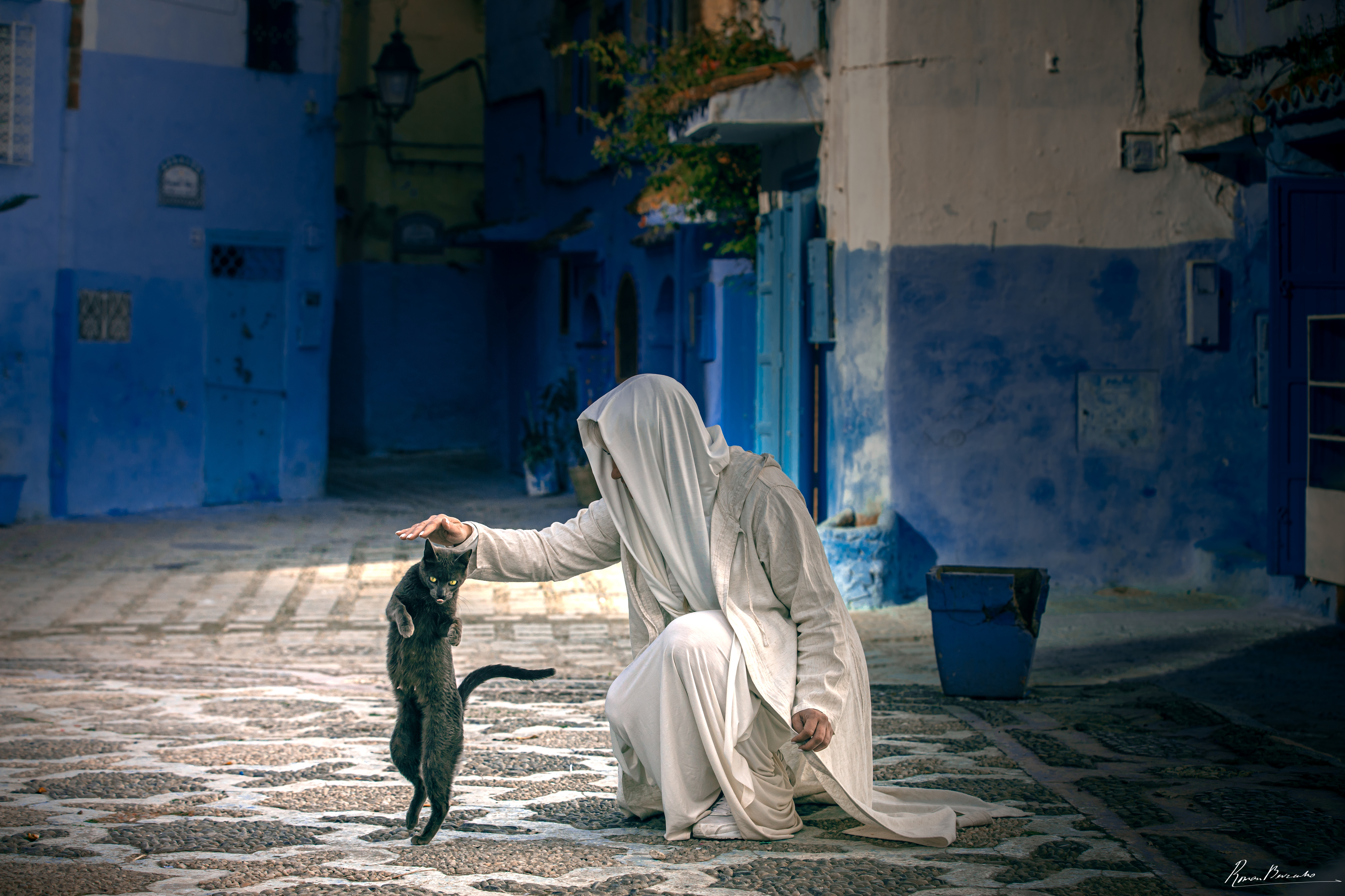 cat, cats, woman, lady, city, town, street, morocco, chefchaouen, Bevzenko Roman