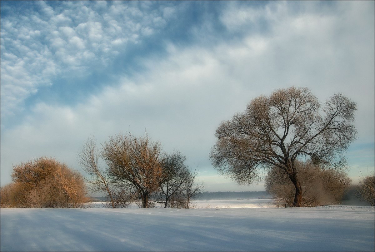 , Александр Маковский