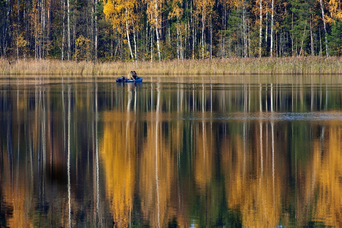 берёзы, золотая осень, лодка, озеро, отражения, рыбаки, рыбалка, Валерий Пешков