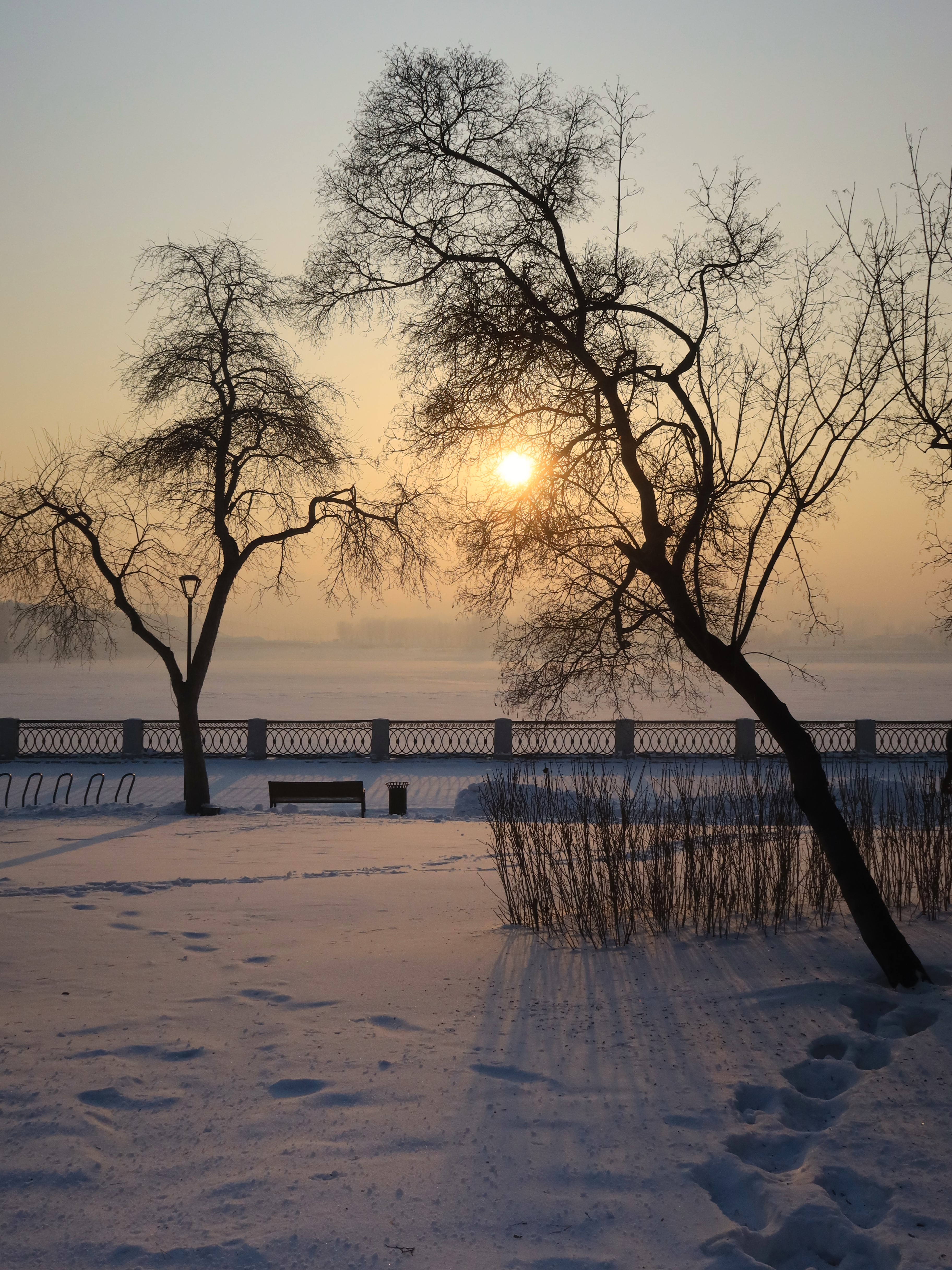 зима,новосибирск,закат,набережная,солнце,деревья, Козлова Галина