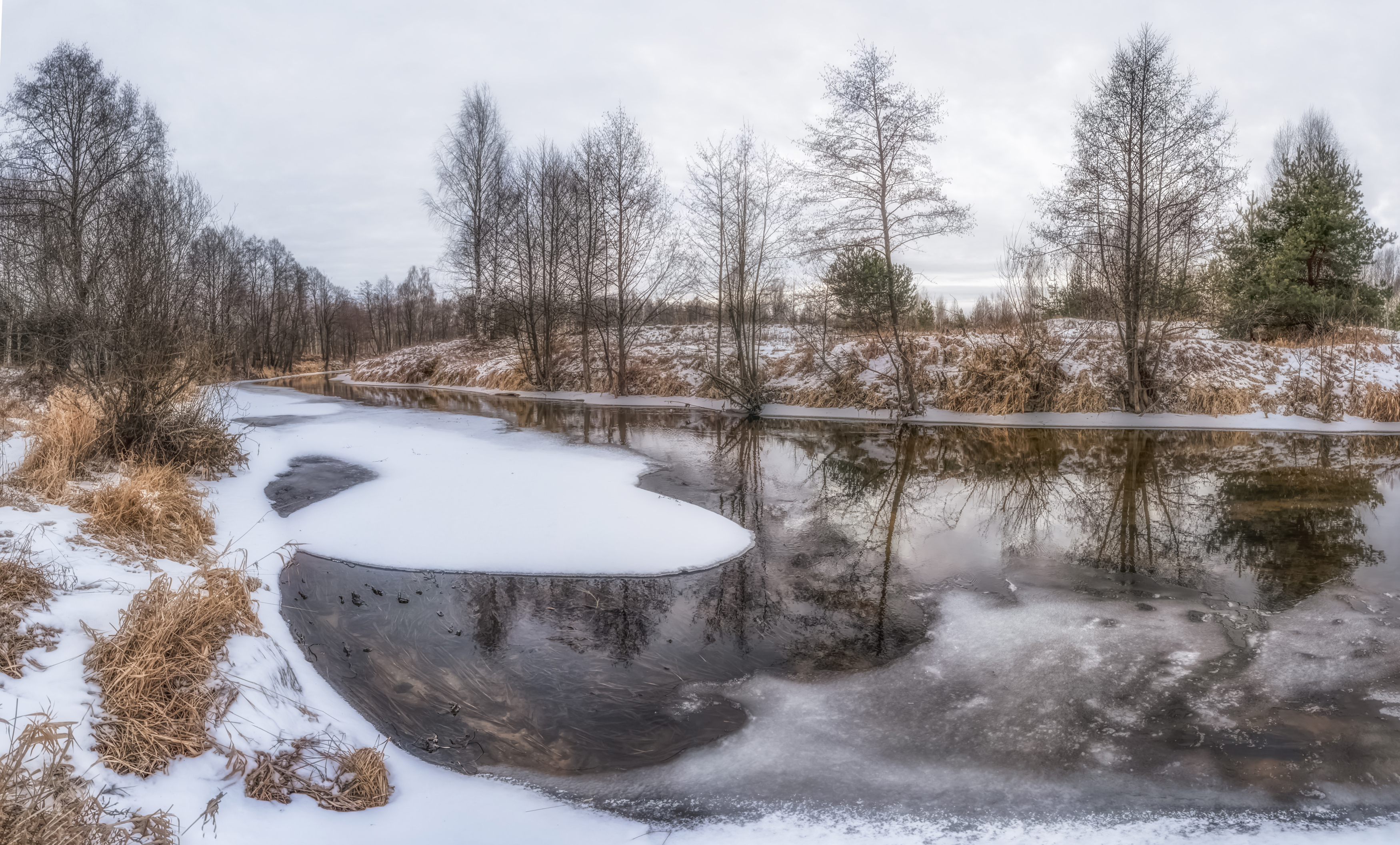 река деревья зима, Колесов Андрей