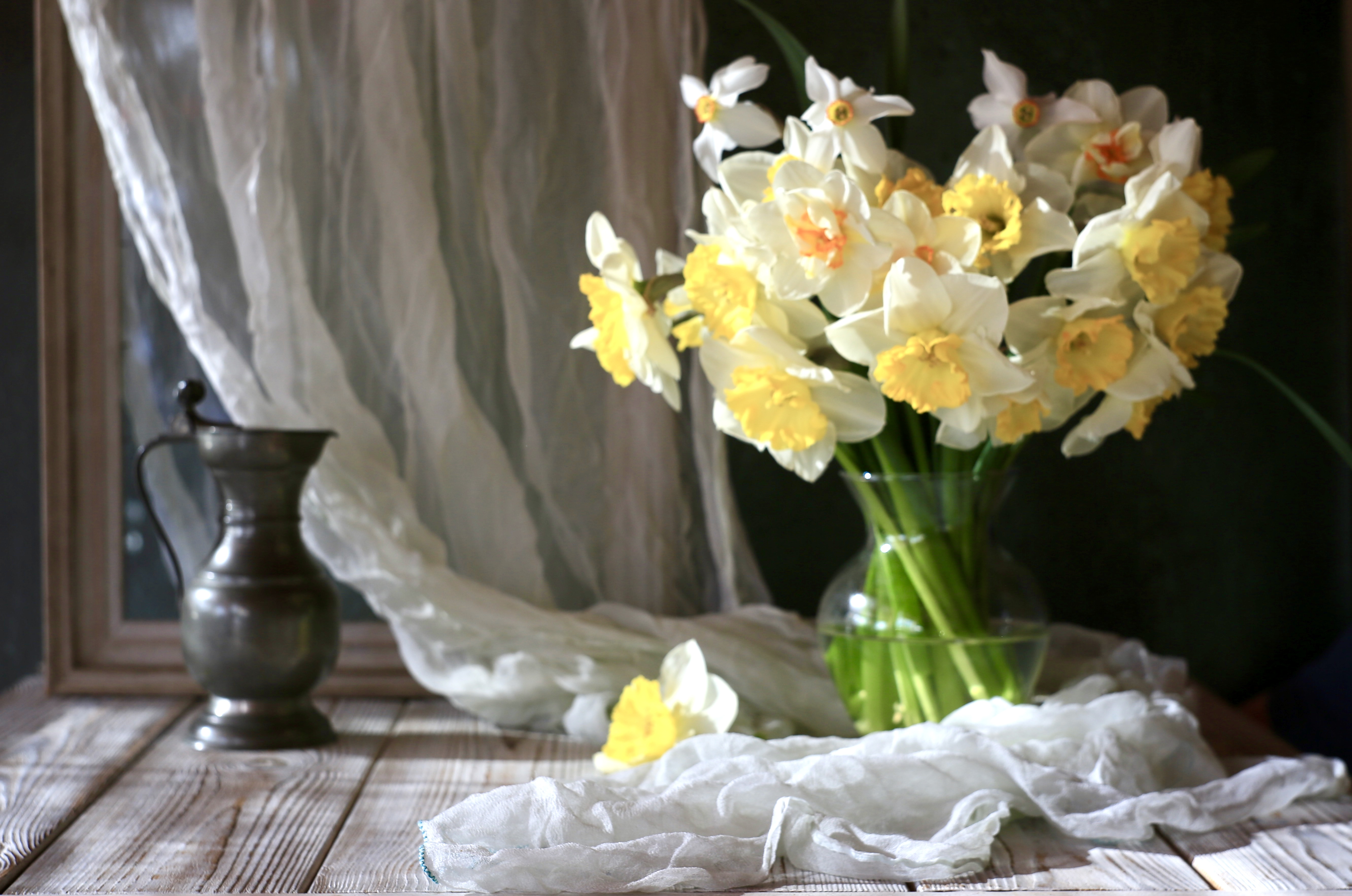 Нарциссы весна spring Stilllife натюрморт canon, Alena Gershfeld