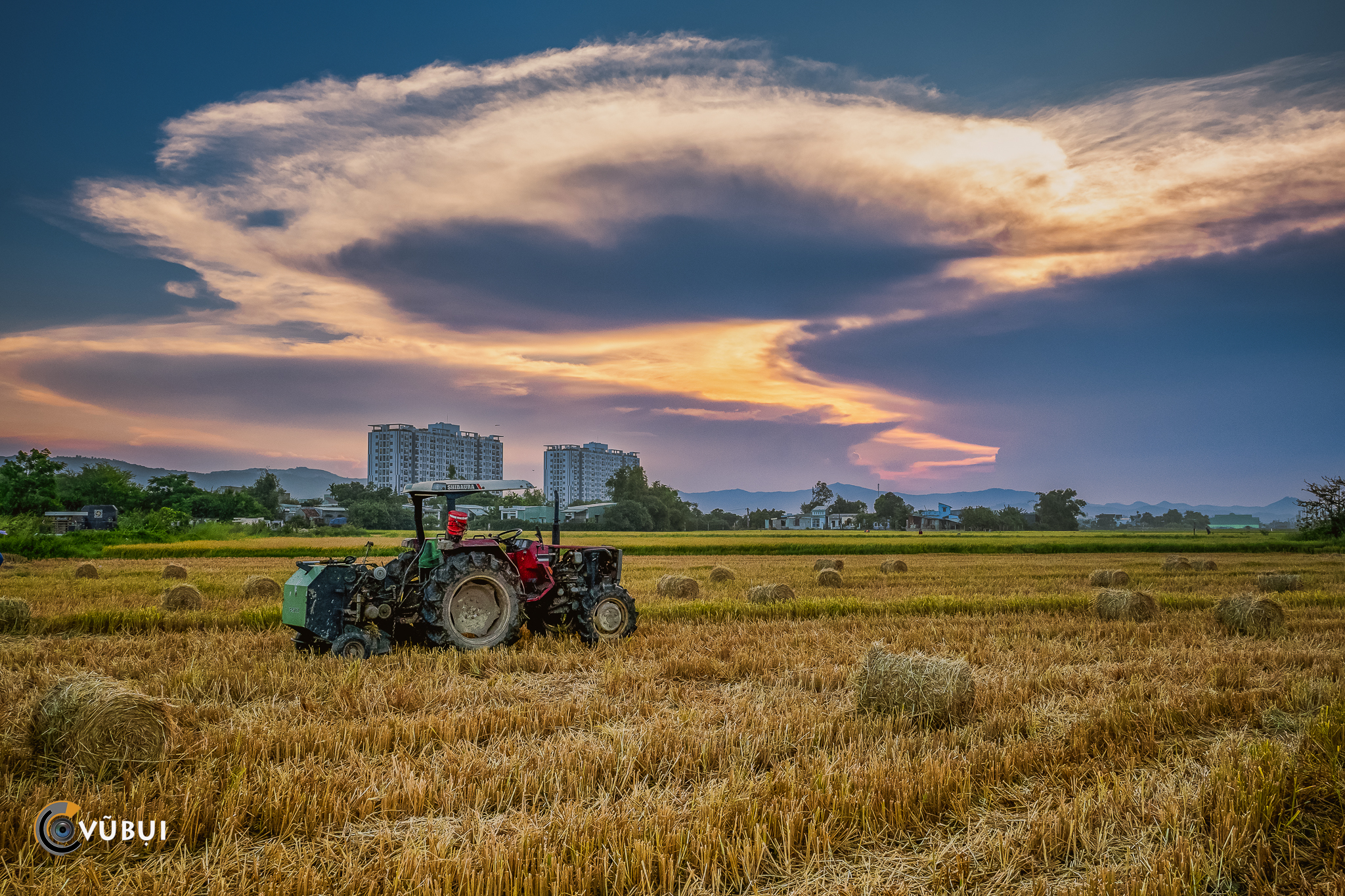 rice field, stubble remains, sky, giant cloud, sunset, Pham Anh Vu