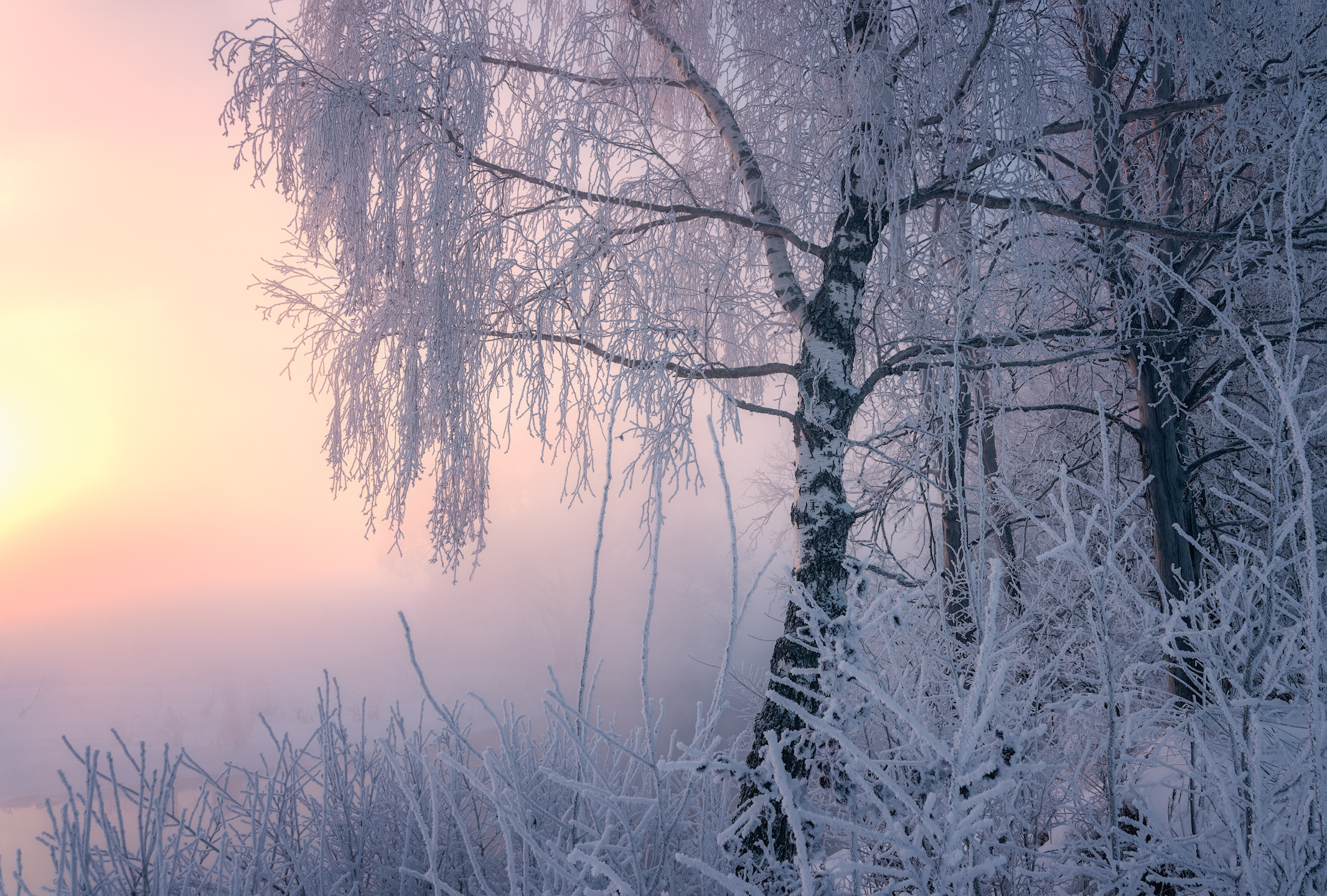 истра, зима, пейзаж, рассвет, Левыкин Виталий