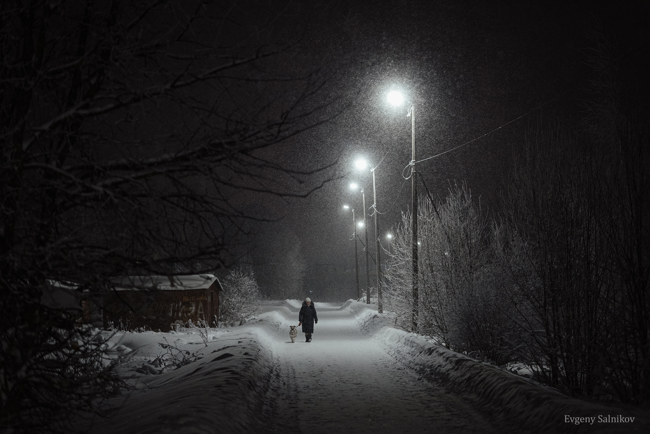 город вечер снегопад зима снег, Сальников Евгений